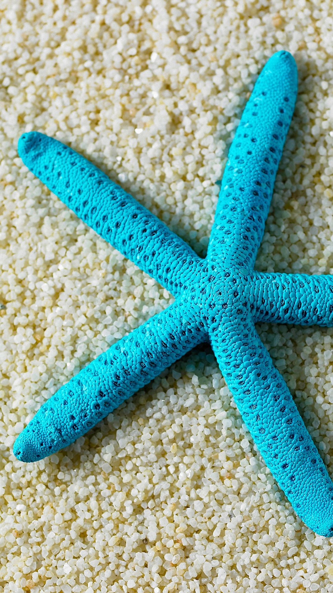 1080x1920 Hd Beach Starfish Samsung Galaxy A7 Wallpaper Wallpaper For Samsung Galaxy S3, Phone