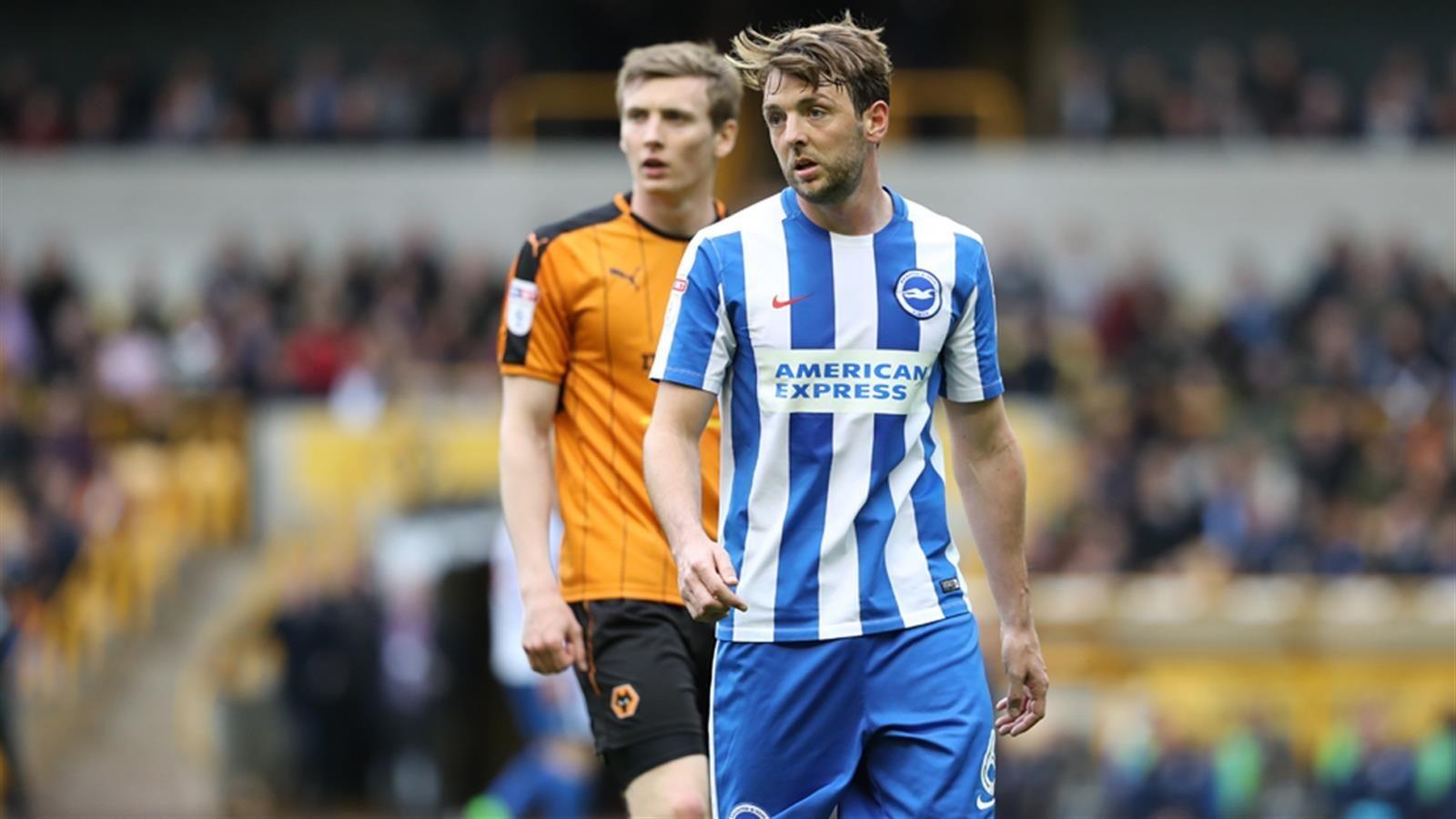 1600x900 Official Website of the Seagulls and Hove Albion FC, Desktop