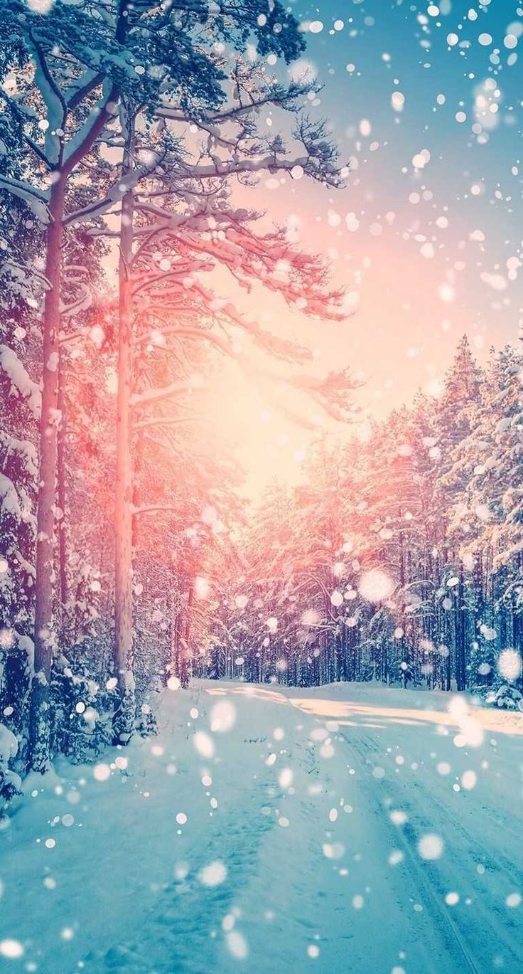 740x1370 Winter Background Wallpaper Discover more aesthetic, background, cute, girly, Lock Screen. Scenery wallpaper, iPhone wallpaper winter, Winter wonderland wallpaper, Phone