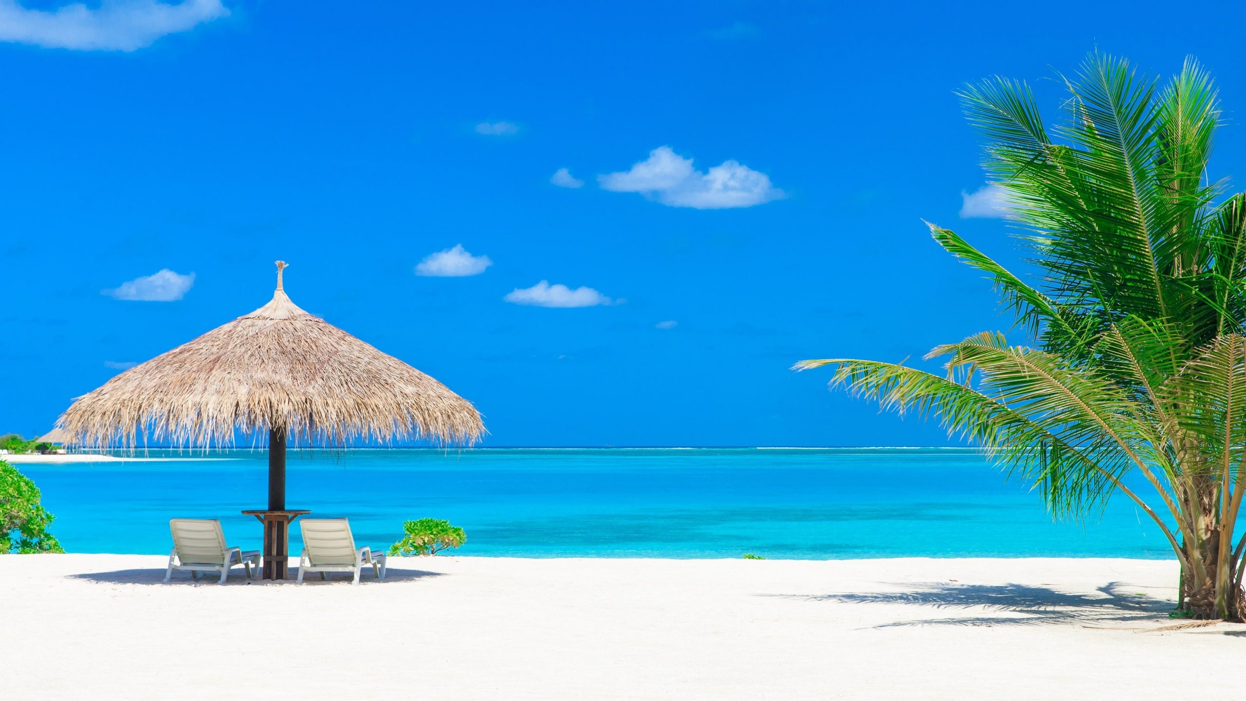 2560x1440 Daytime, Lesser Antilles, Summer, Summertime, Caribbean Sea Wallpaper, Desktop