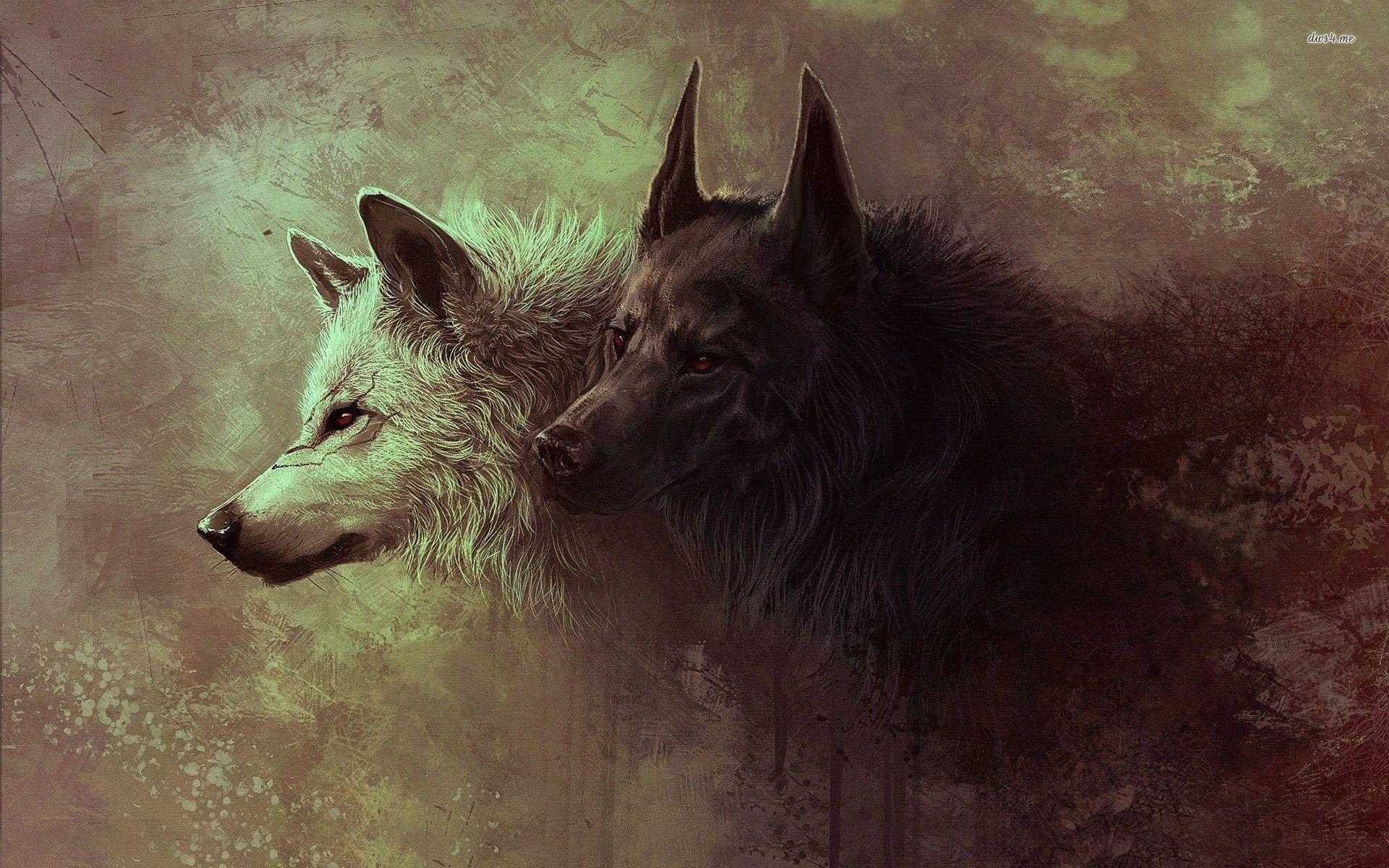 1920x1200 Black Wolf Wallpaper, Desktop