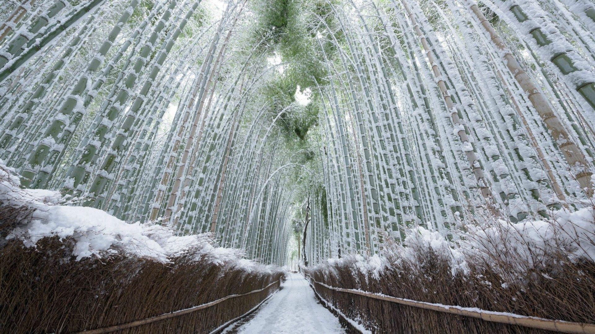 1920x1080 Arashiyama Wallpaper Free Arashiyama Background, Desktop