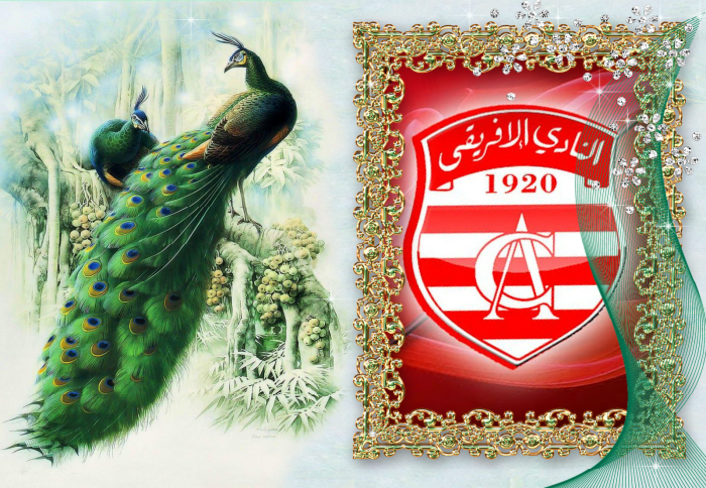 1400x970 CLUB AFRICAIN, Desktop