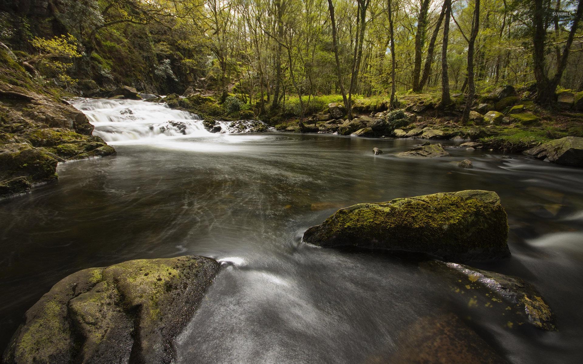 1920x1200 Mossy rocks in the mountain river [4] wallpaper, Desktop