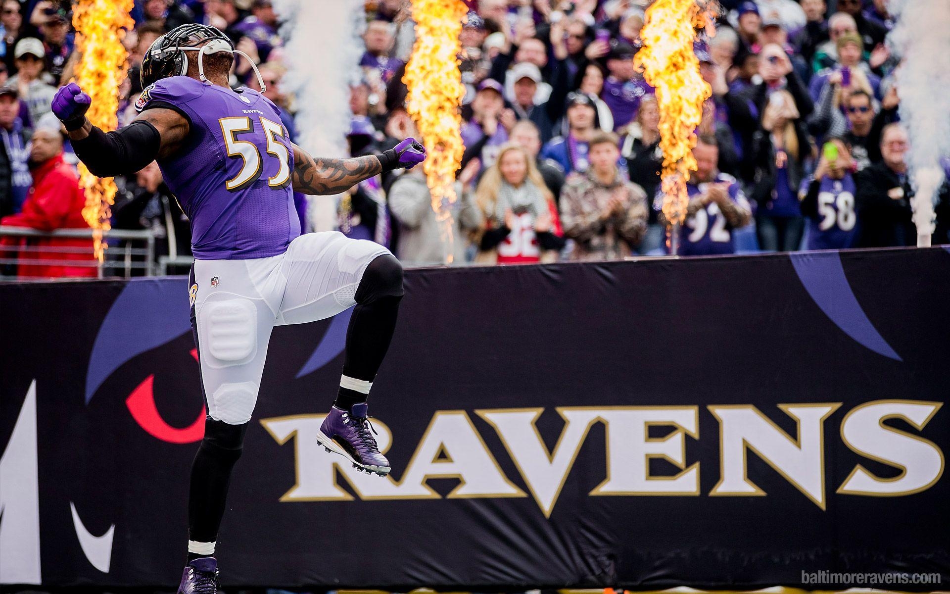 1920x1200 Baltimore Ravens Wallpaper 4 X 1200, Desktop