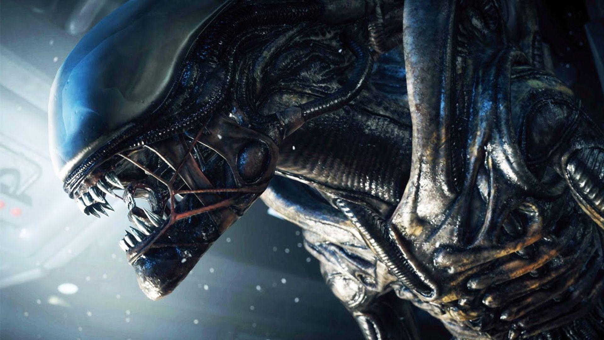 1920x1080 Xenomorph Wallpaper, Desktop