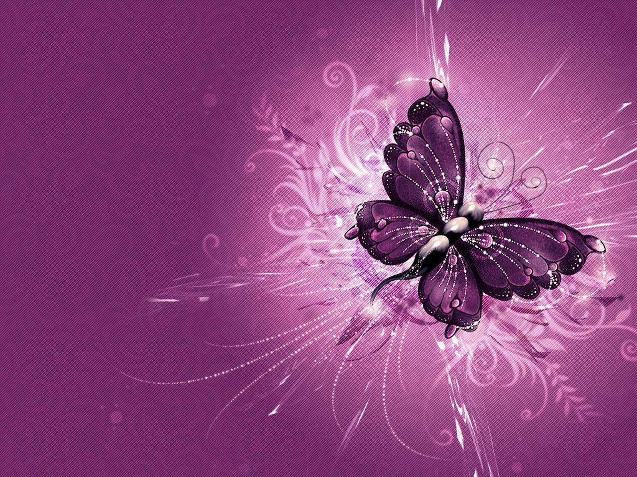 1280x960 Pink And Purple Butterfly Wallpaper, Desktop