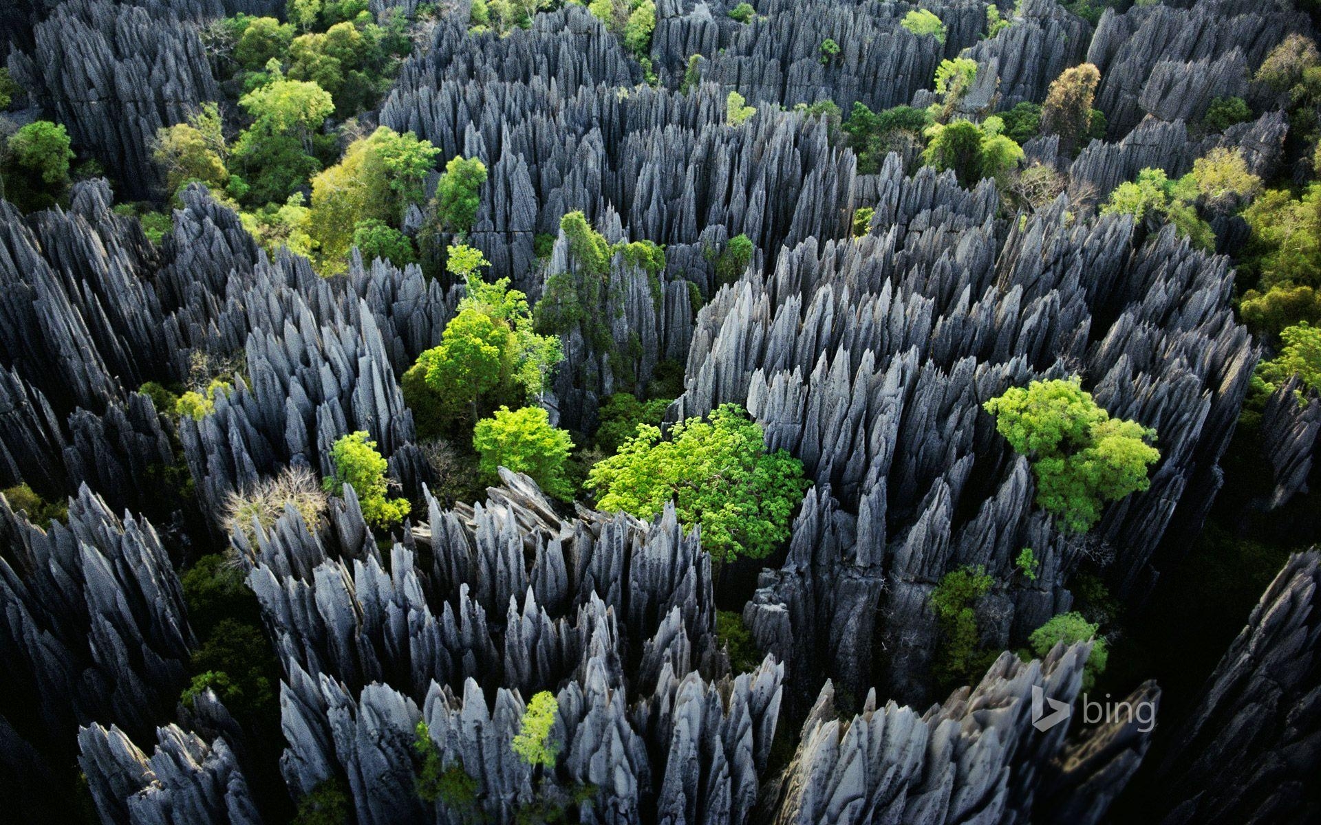 1920x1200 Tsingy de Bemaraha National Park, Madagascar. Wallpaper Binging, Desktop