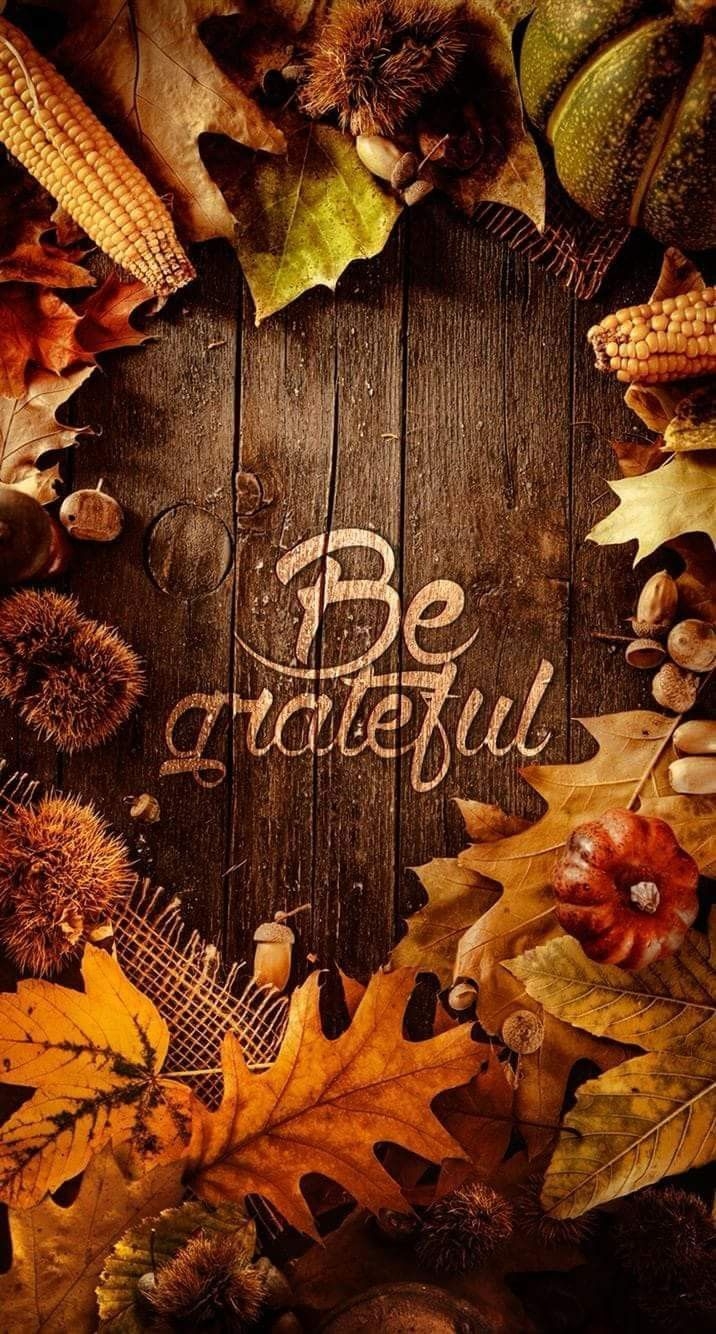 720x1340 Fall Thanksgiving Wallpaper Free Fall Thanksgiving Background, Phone