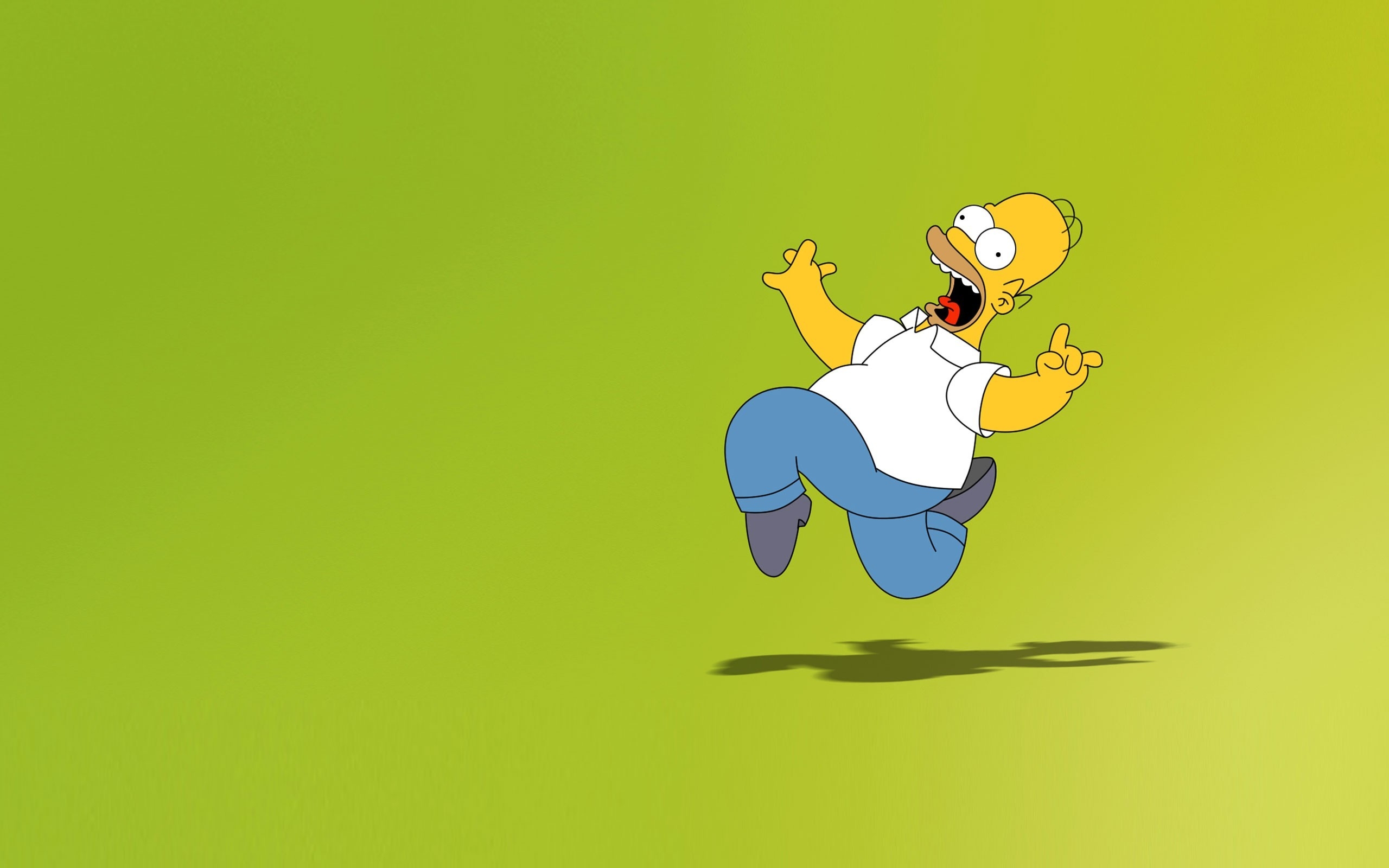 2560x1600 Homer Simpson Background, Desktop