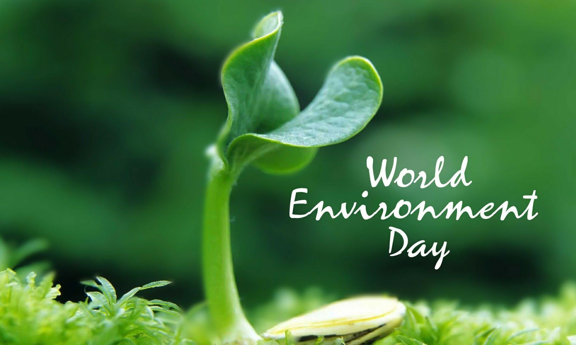 1910x1150 World Environment Day HD Wallpaper, Desktop