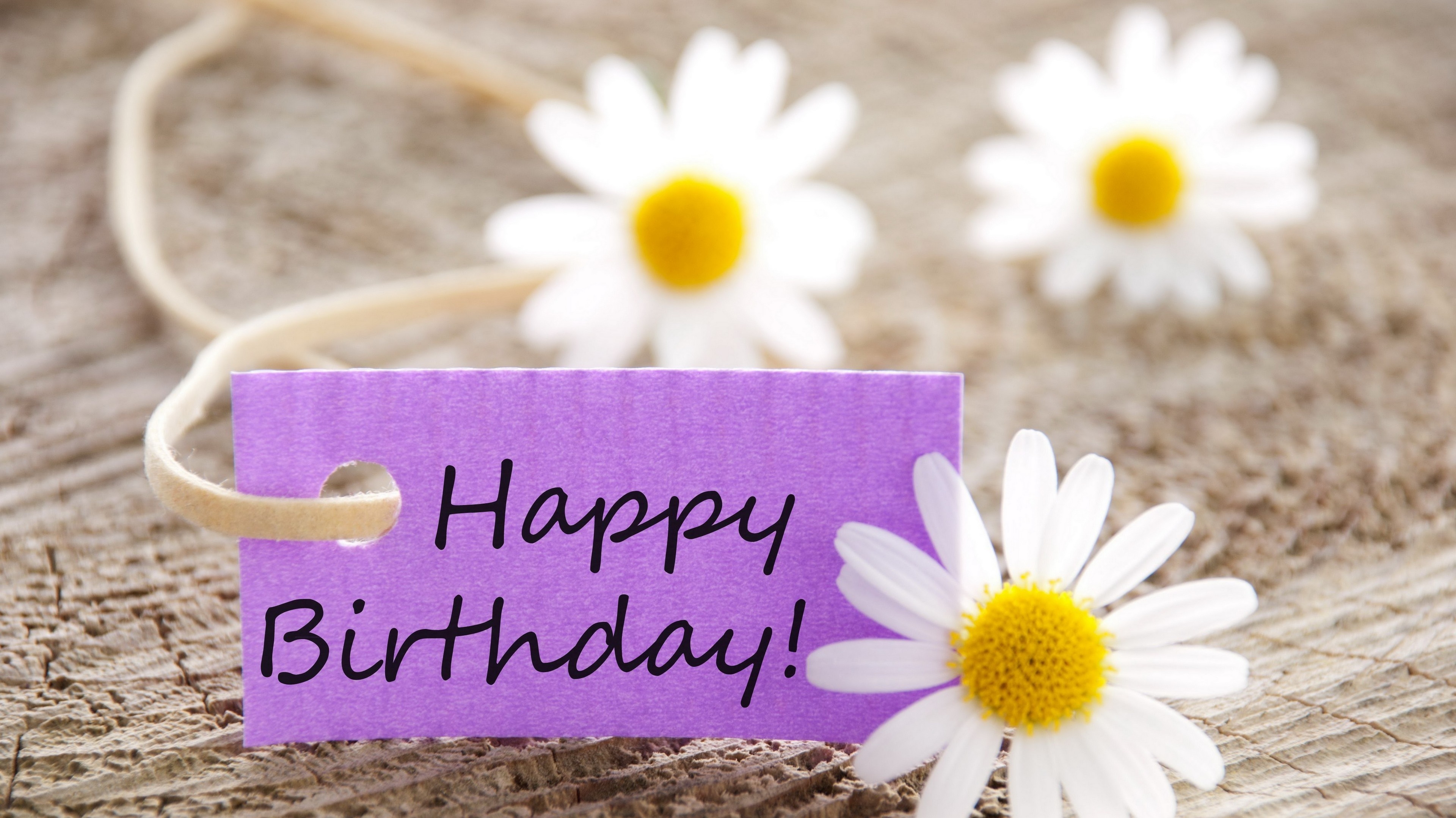 3840x2160 4K Birthday Wallpaper and Background Image, Desktop