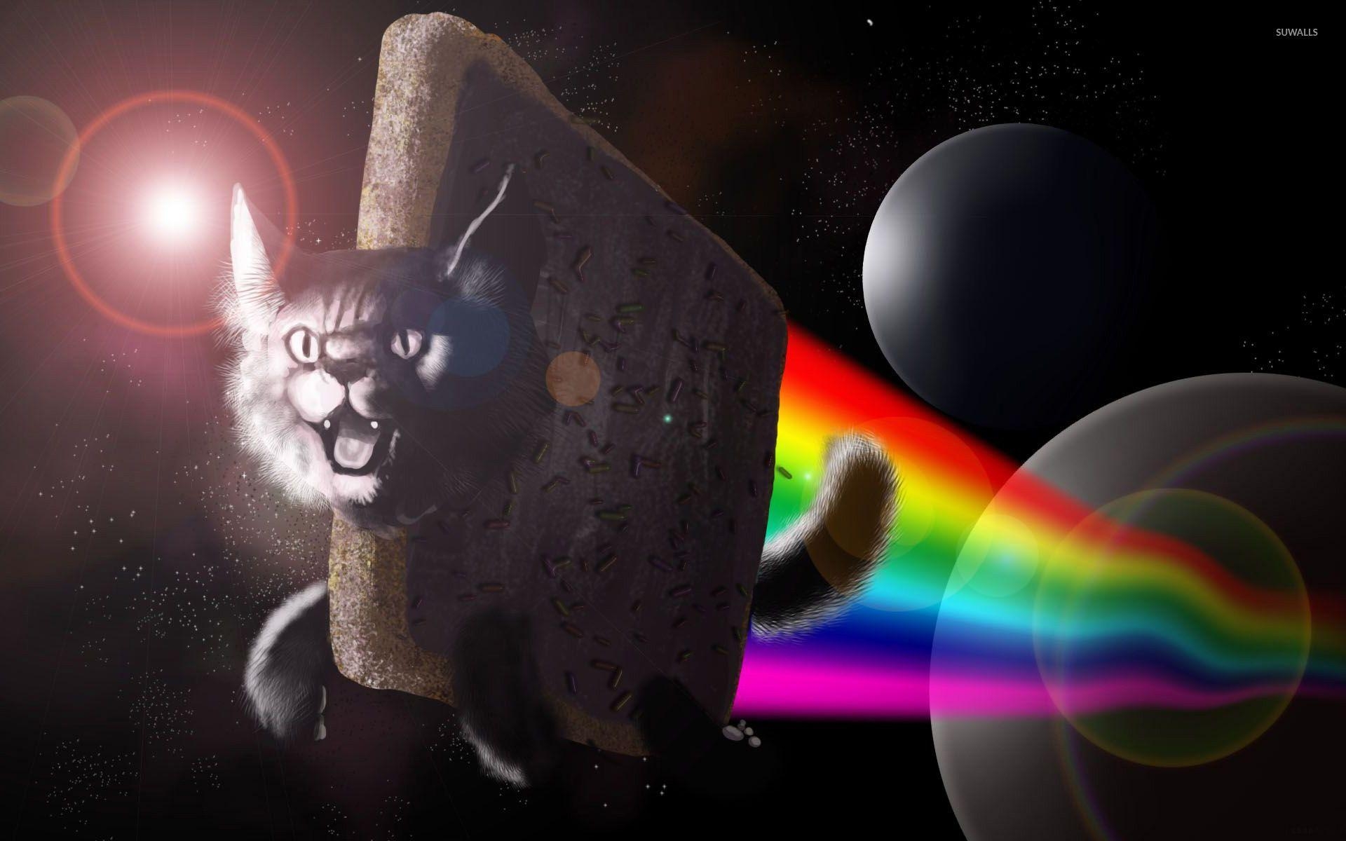 1920x1200 Nyan Cat wallpaper, Desktop