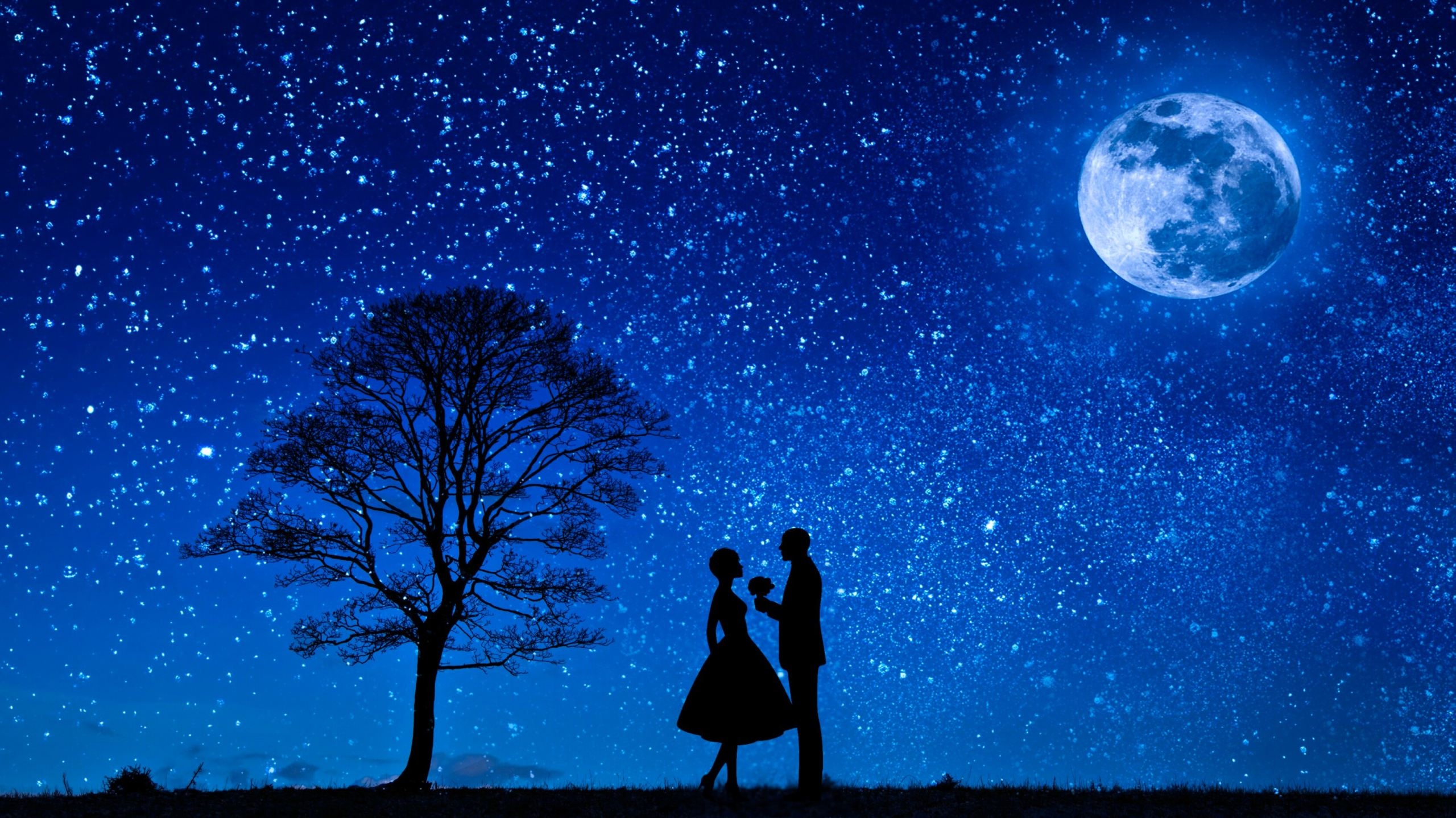 2560x1440 Boy Propose Girl During Late Night Moon And Star Wallpaper Night Background With Moon, Download Wallpaper, Desktop