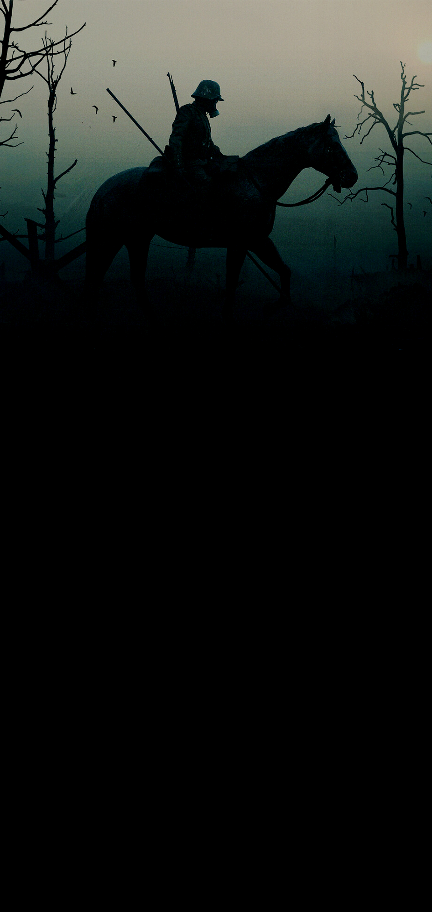 1440x3040 iPhone Wallpaper. Horse, Black, Sky, Atmospheric phenomenon, Phone