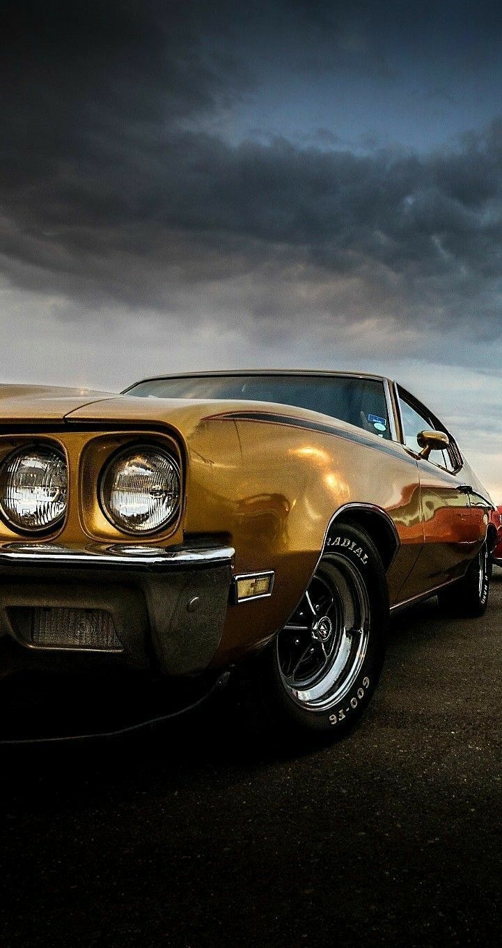 730x1360 Clabic Muscle Car Wallpaper Free, Phone