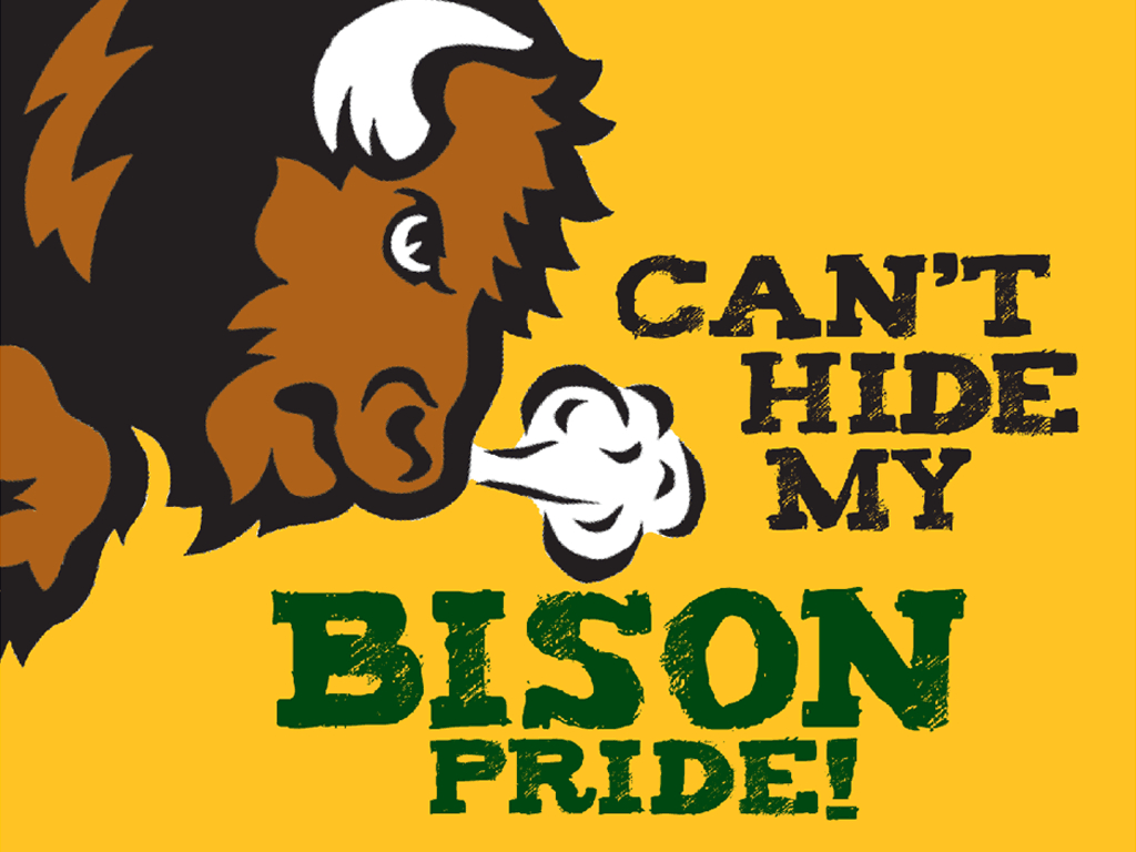 1030x770 NDSU Bison Wallpaper. Ndsu bison, Bison football, Bison, Desktop