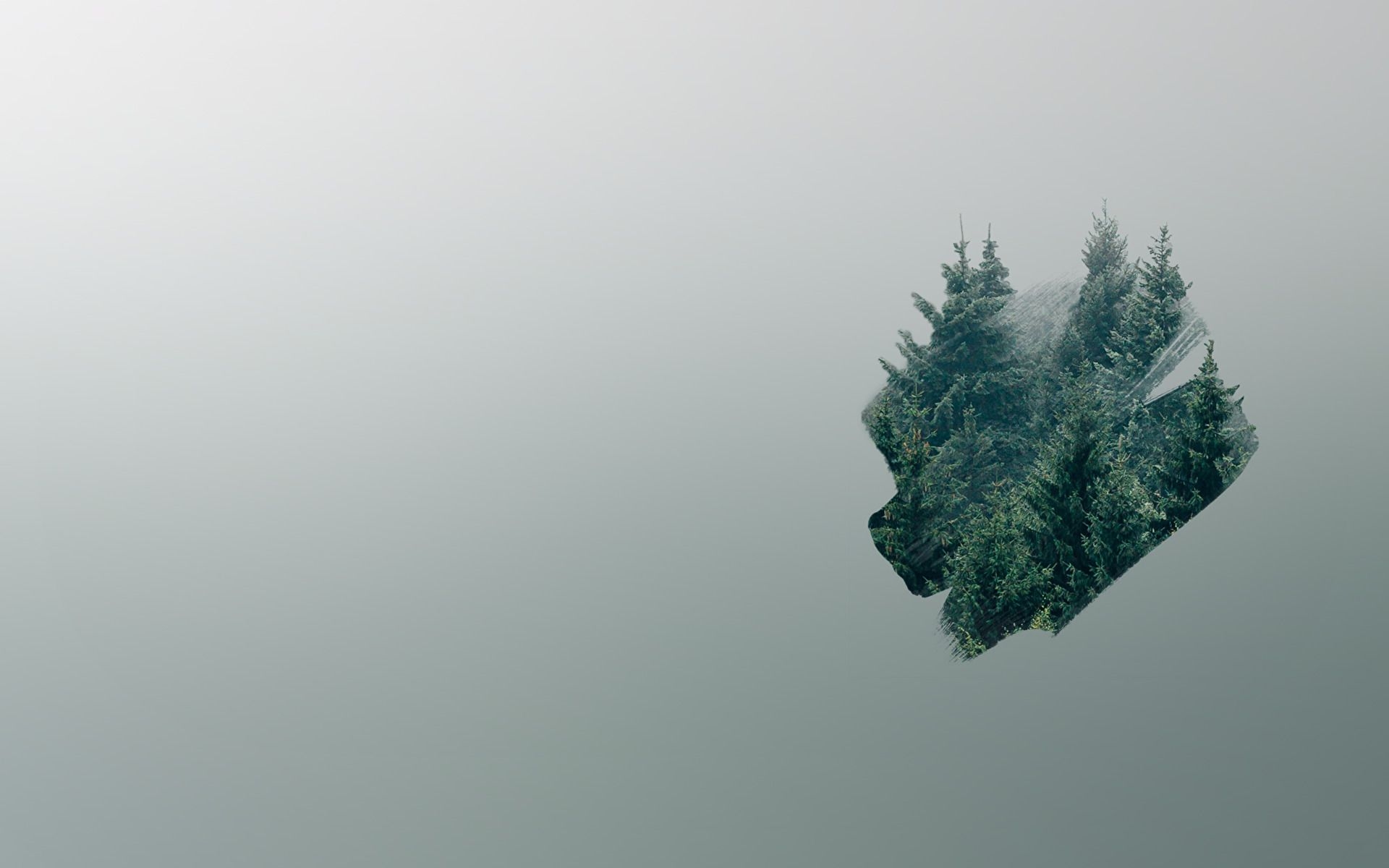 1920x1200 minimalist forest [2560x1440], Desktop