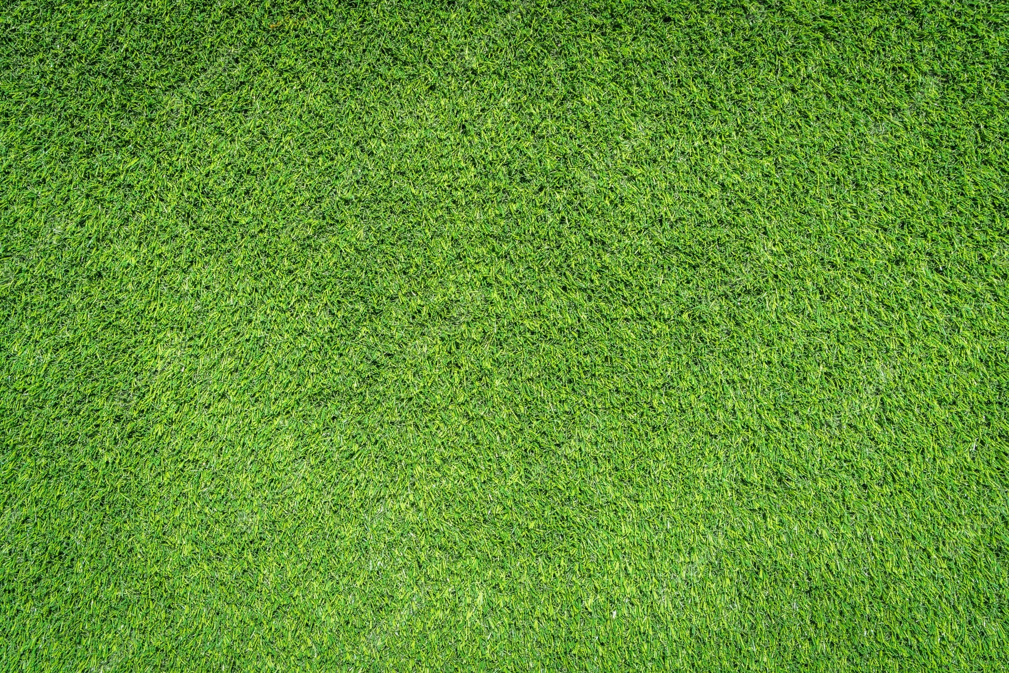 2000x1340 Grass Texture Image, Desktop