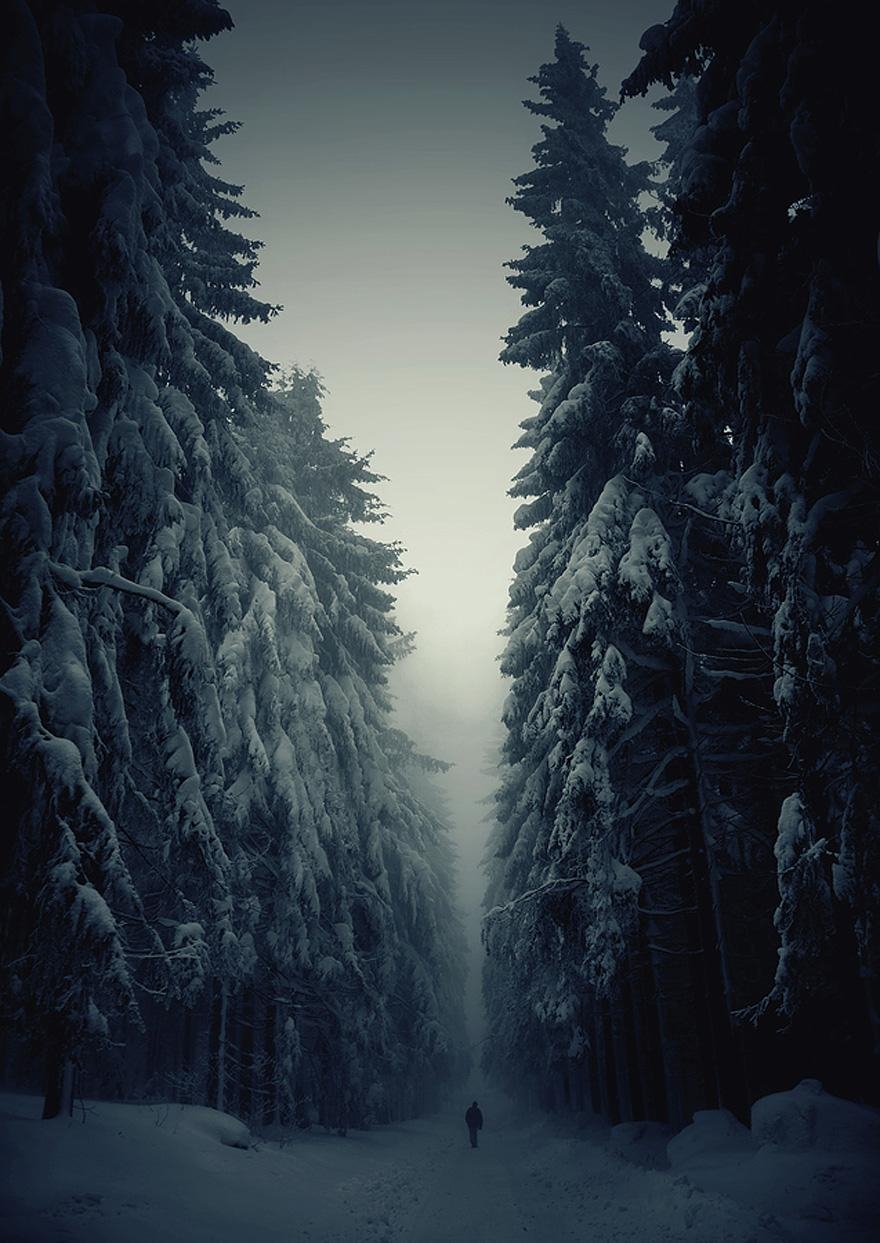 880x1250 Breathtaking Photo Of Winter Landscapes, Phone