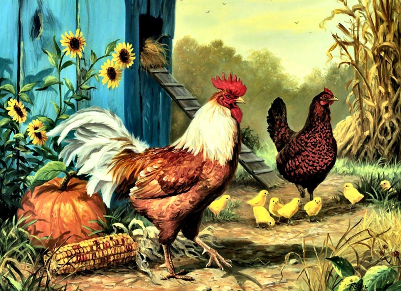 1370x990 Chickens Painting Wallpaper, Desktop