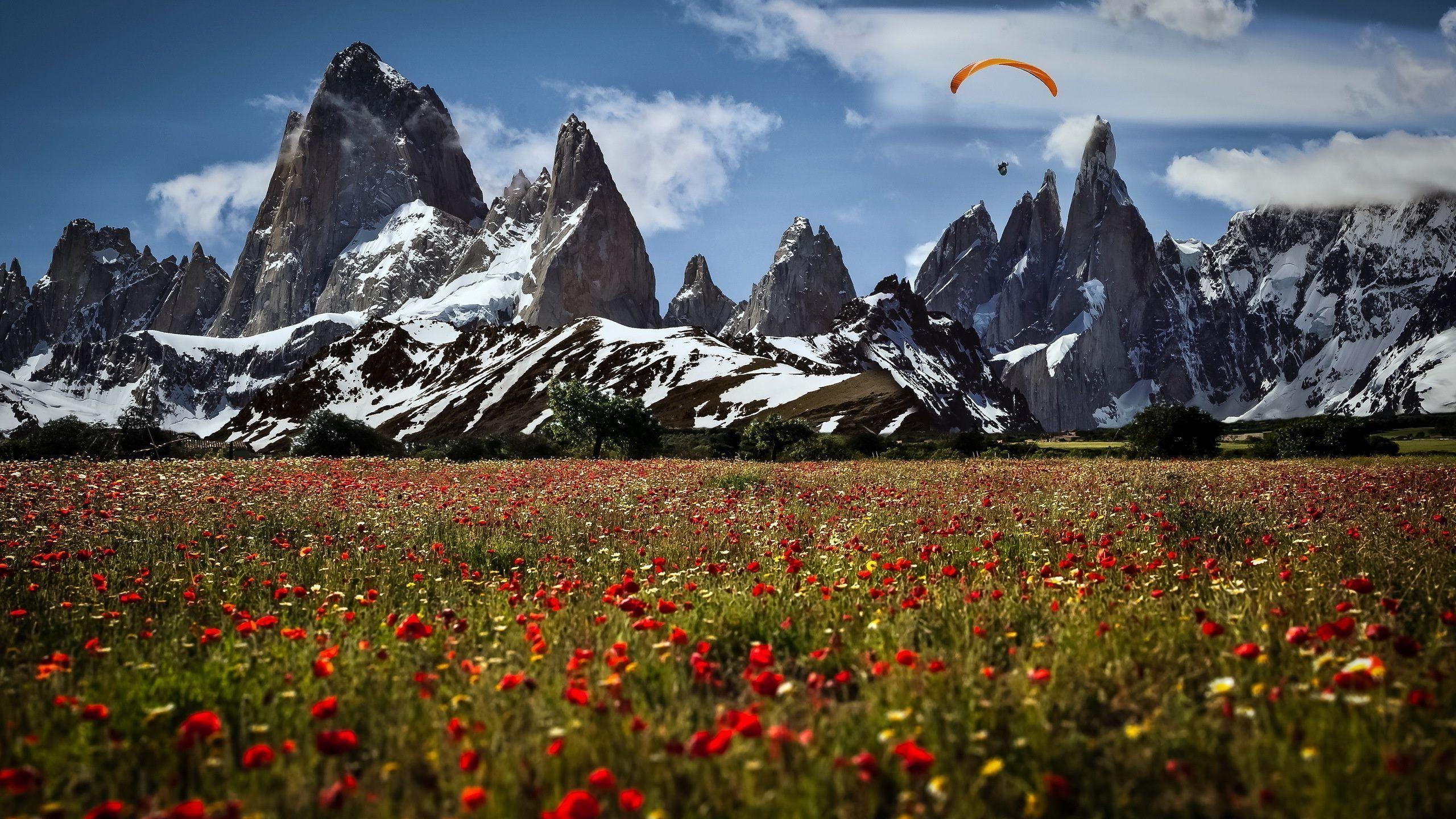 2560x1440 Skydiving Over Fitz Roy Wallpaper, Desktop