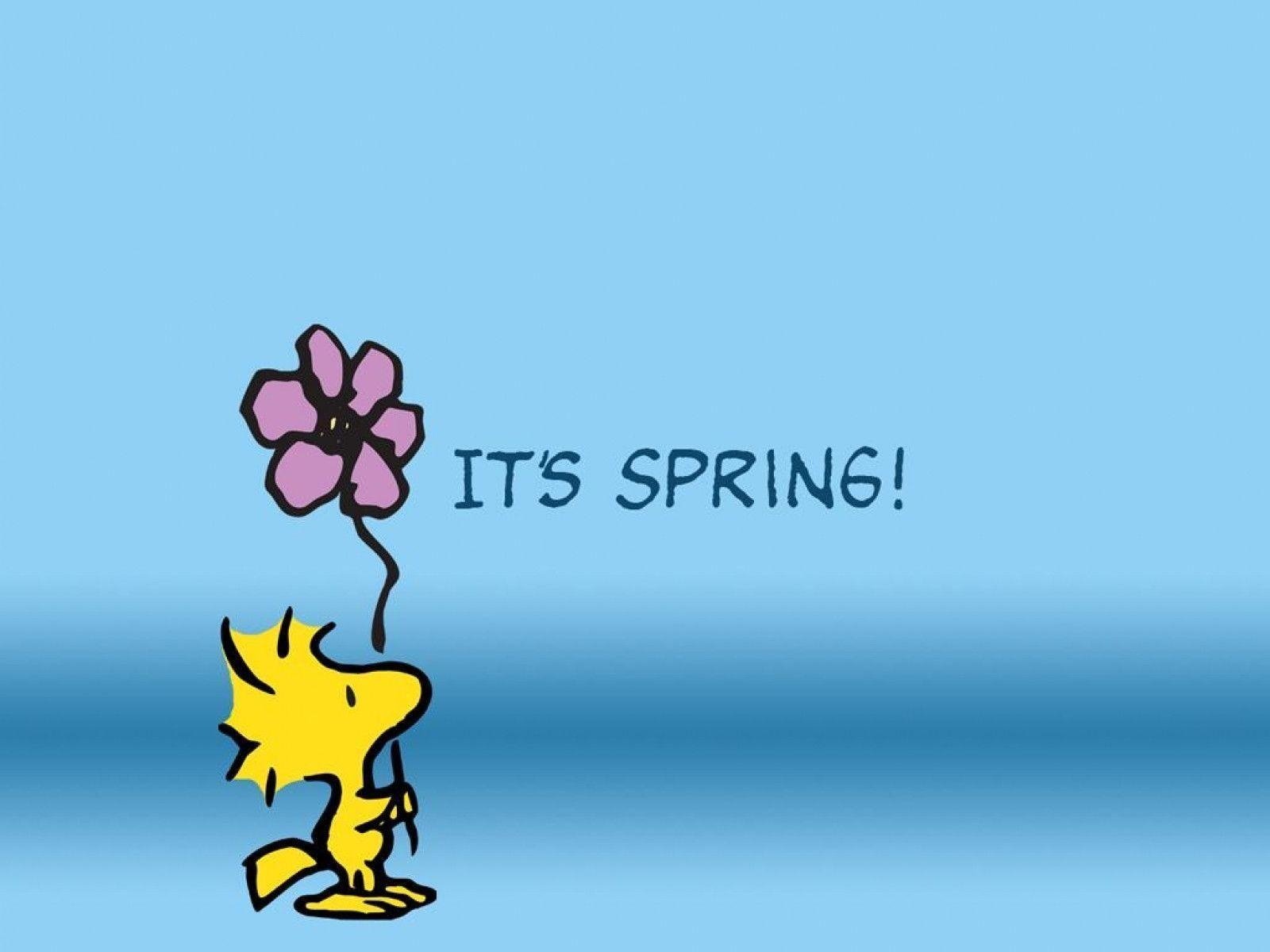 1600x1200 Snoopy Spring Wallpaper Free Snoopy Spring Background, Desktop