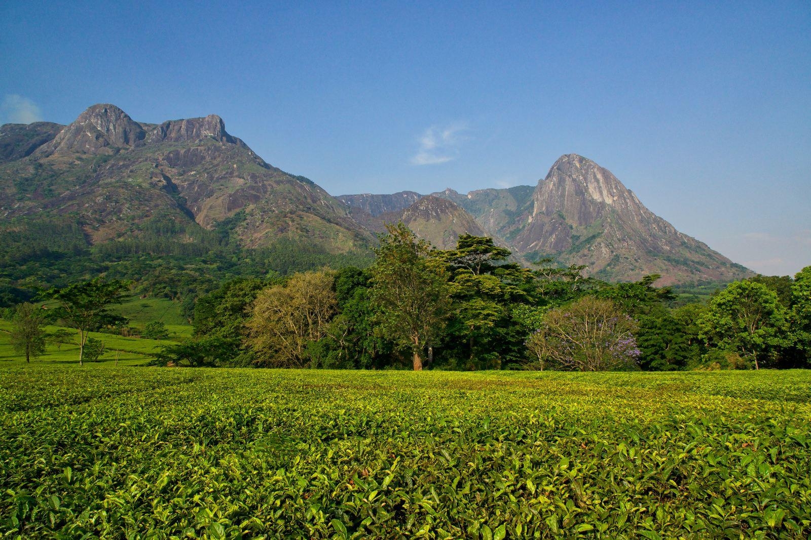 1600x1070 Mount Mulanje, Desktop