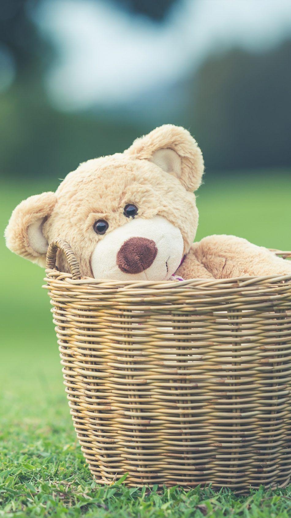 950x1690 Teddy Bear Basket Playground. People Wallpaper. Teddy, Phone