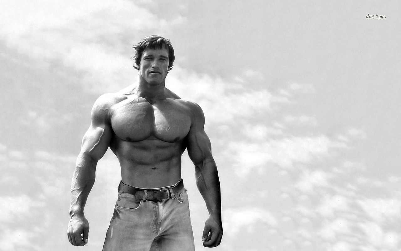 1280x800 Arnold Schwarzenegger HD Wallpaper, Desktop