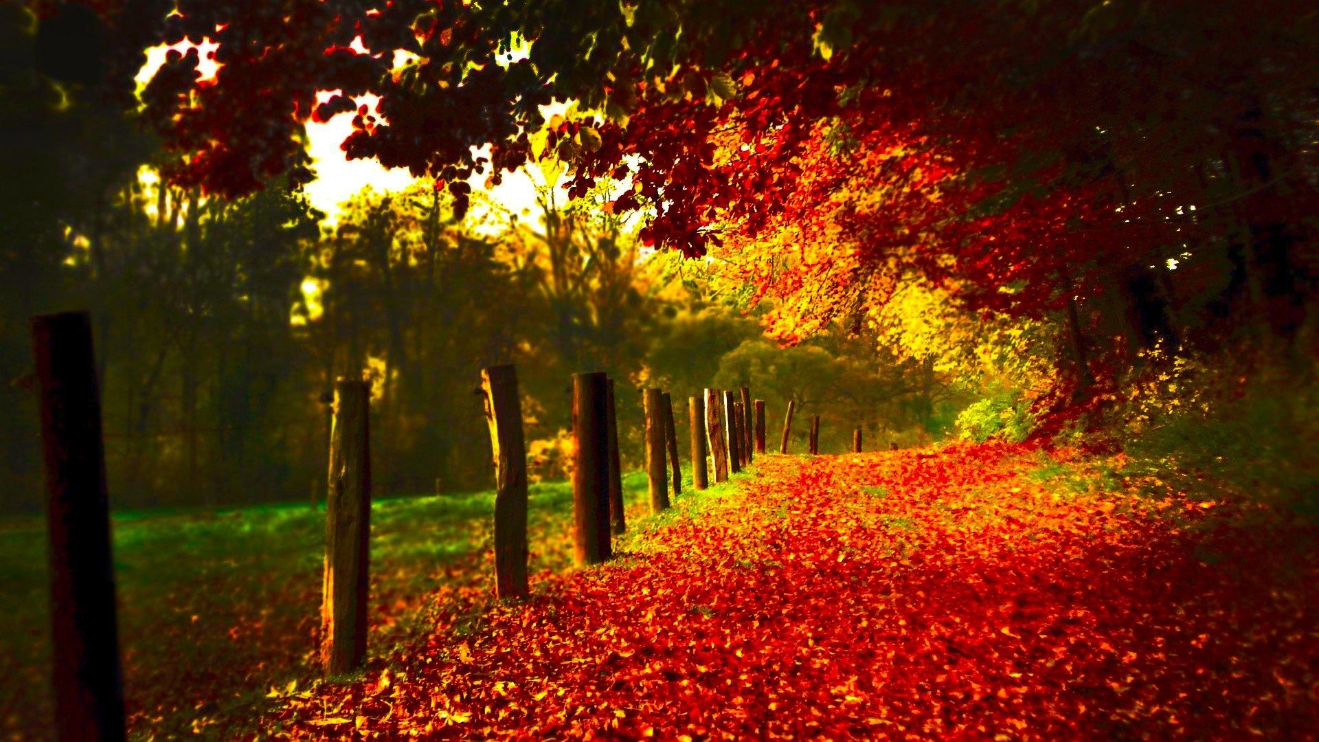 1920x1080 Laptop Background HD Fall, Desktop