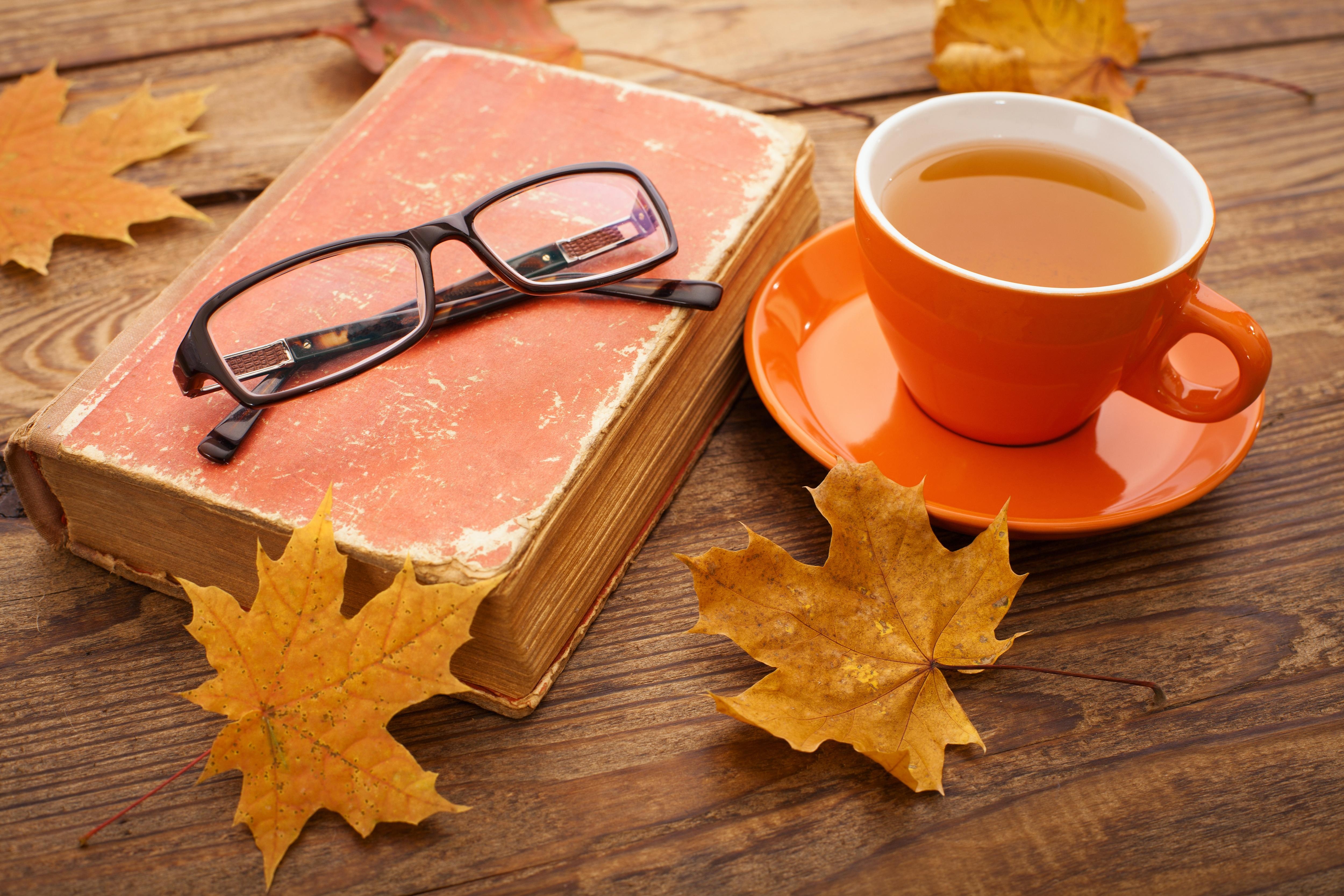 5000x3340 Coffee in the Fall Wallpaper, Desktop