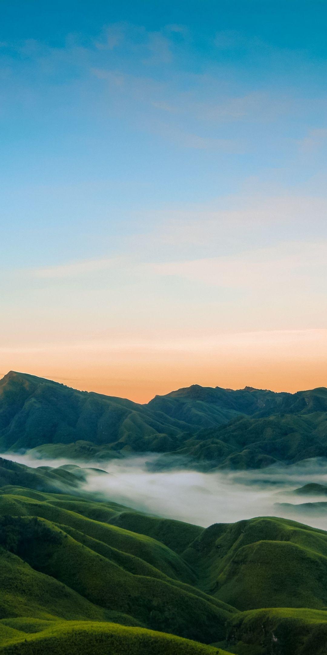 1080x2160 Dzukou valley, India, nature, mist,  wallpaper. Wallpaper, Phone