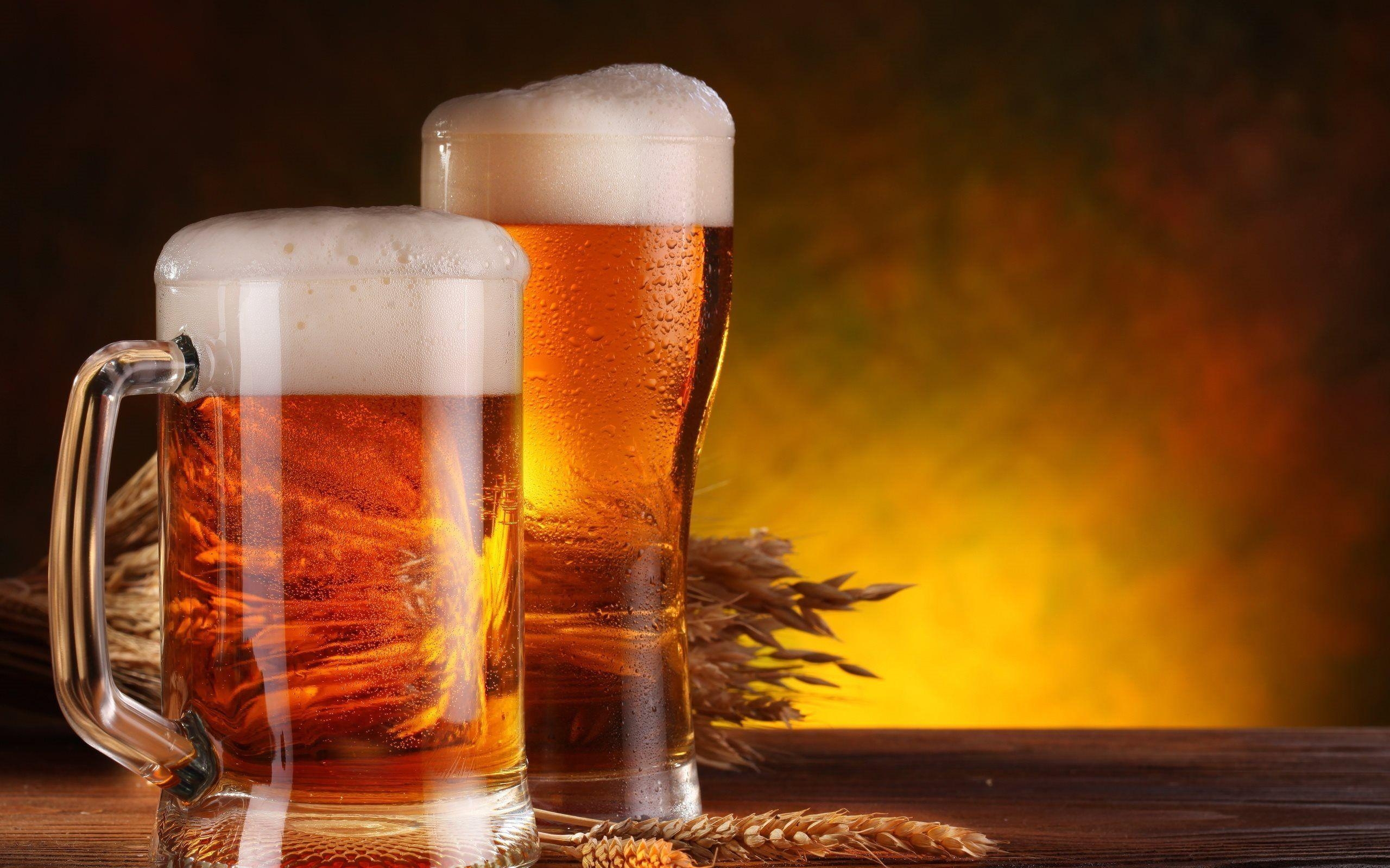 2560x1600 Download Wallpaper Beer, Glasses Of Beer, Hops, Desktop