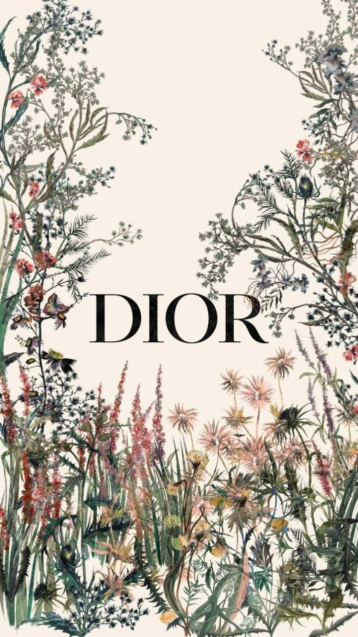 720x1280 Dior Wallpaper, Phone