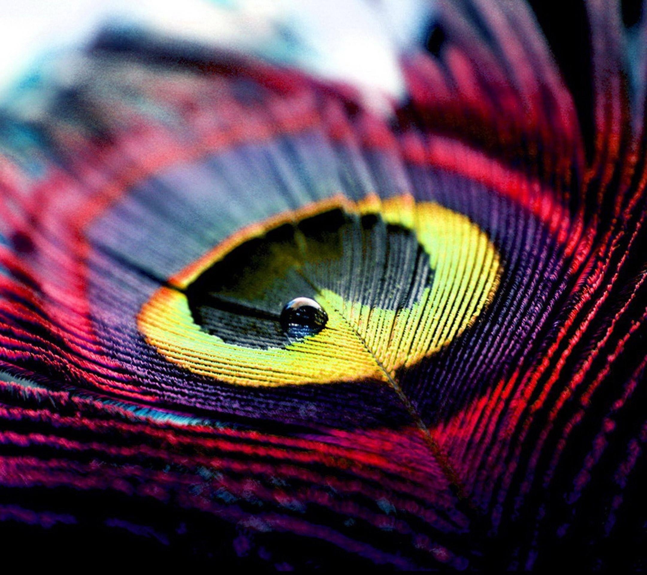 2160x1920 Peacock Feather Wallpaper, Desktop