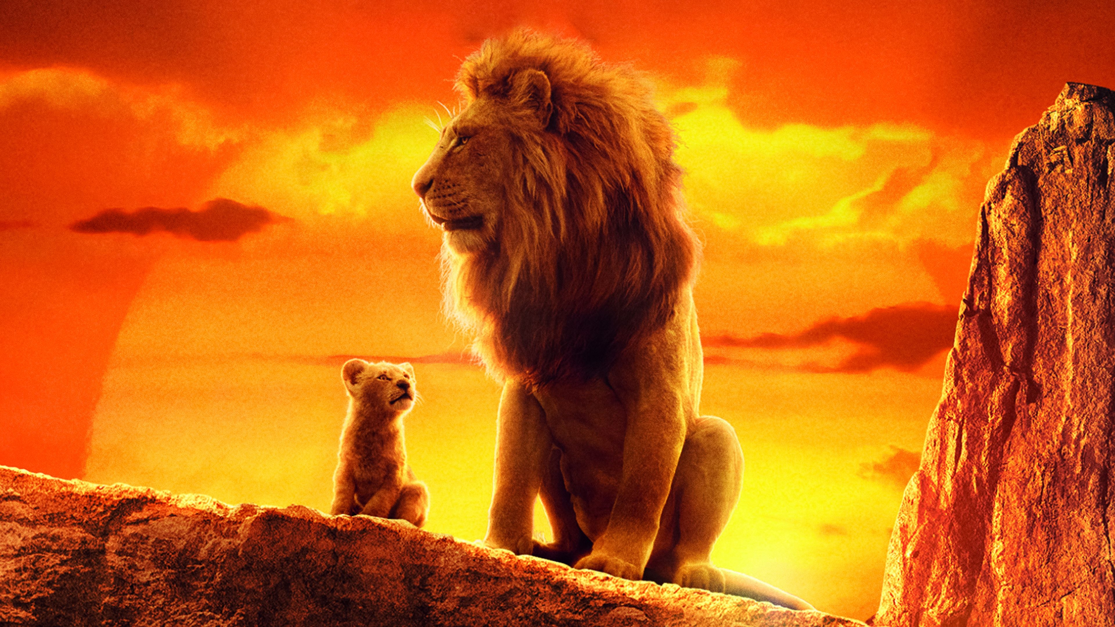 3840x2160 The Lion King Simba Mufasa 4K Wallpaper, Desktop