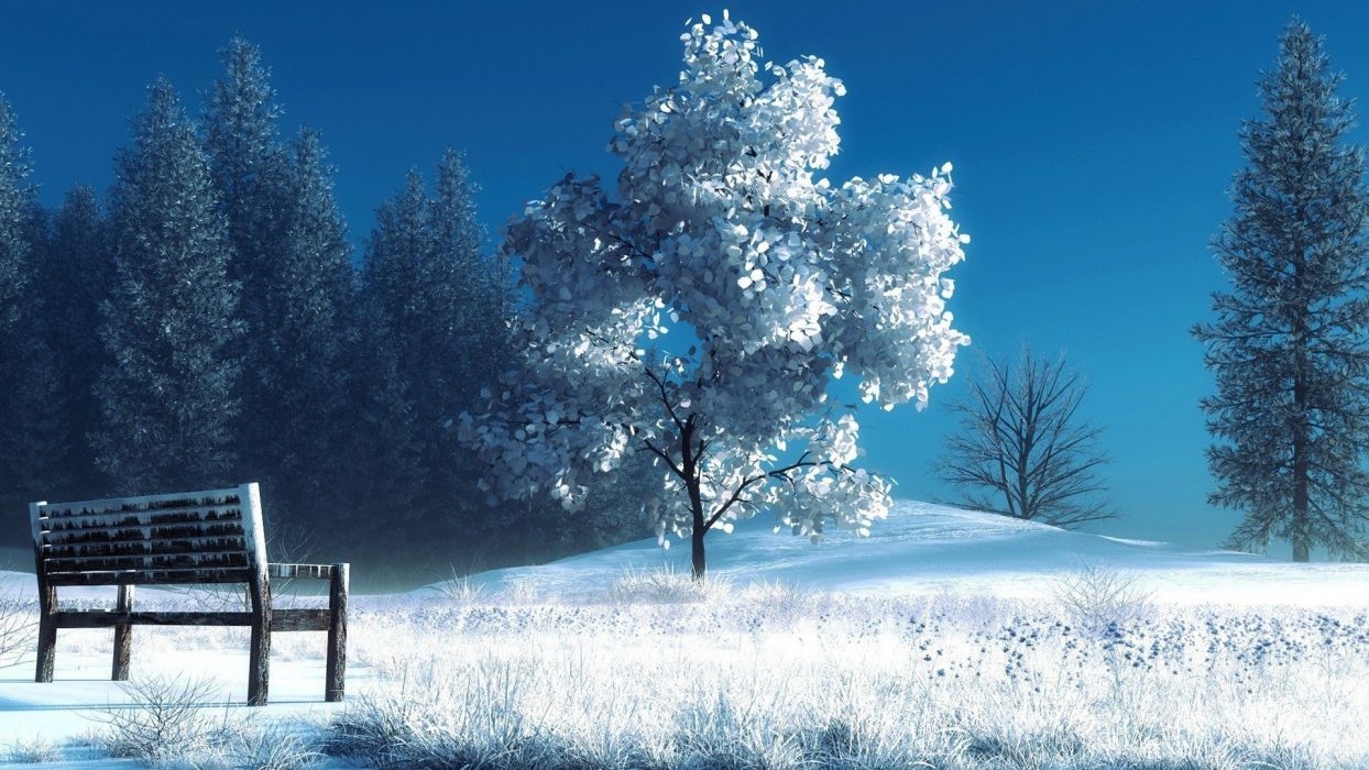 1250x700 Winter Landscape Nature Snow Bench Trees wallpaperx1080, Desktop