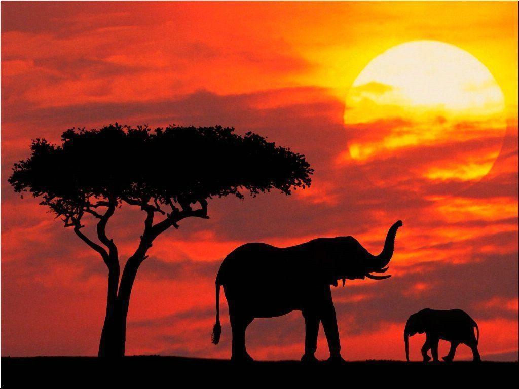 1030x770 Best HD Kenya Wallpaper, Desktop