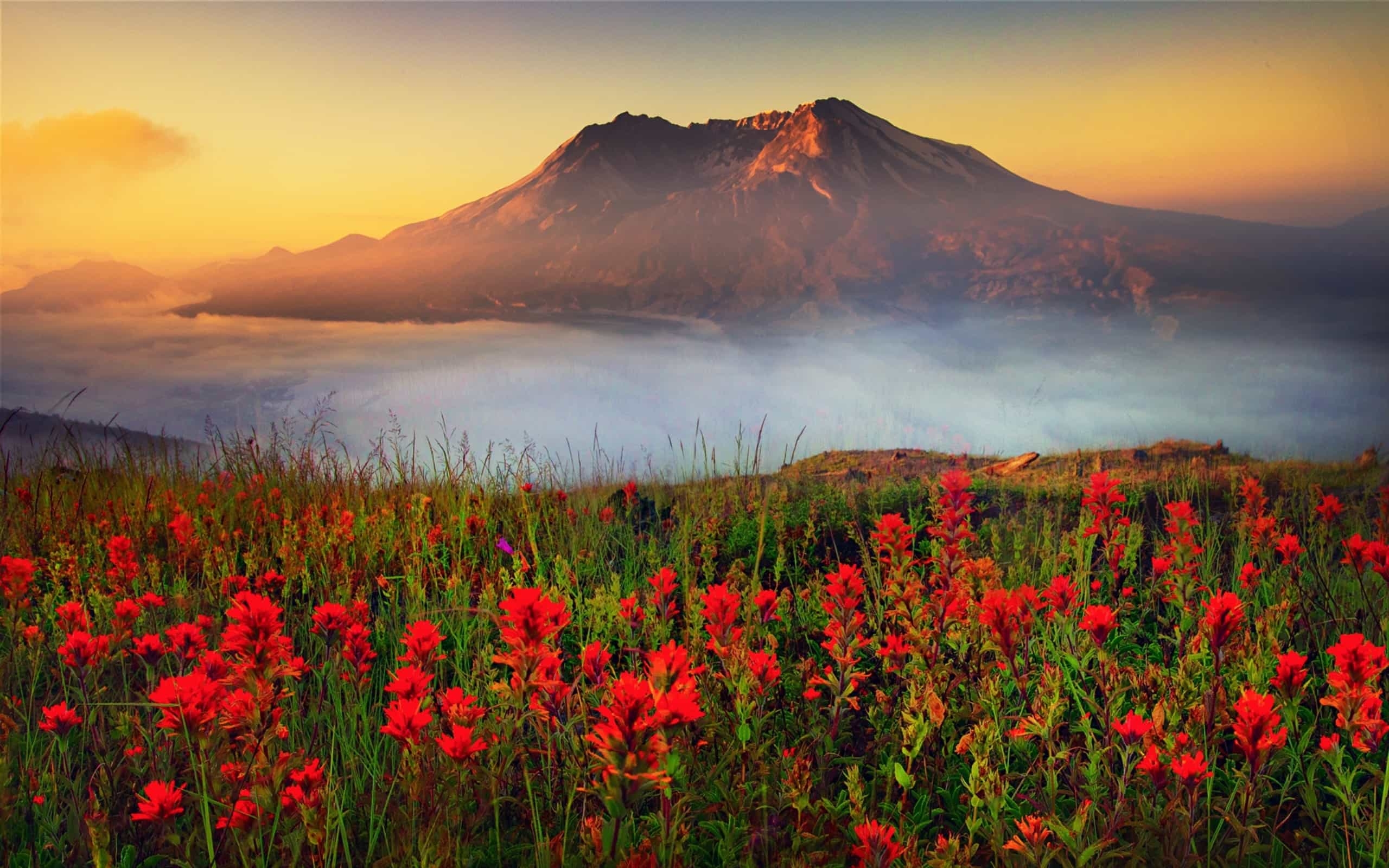 2560x1600 Mount St. Helens Wallpaper. Mt St Helens, Desktop