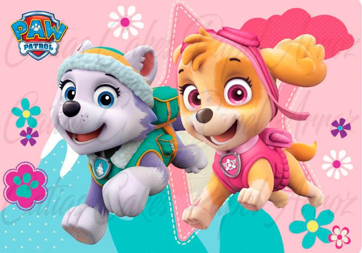 1200x840 Patrulha Canina Wallpaper Everest Paw Patrol, HD, Desktop