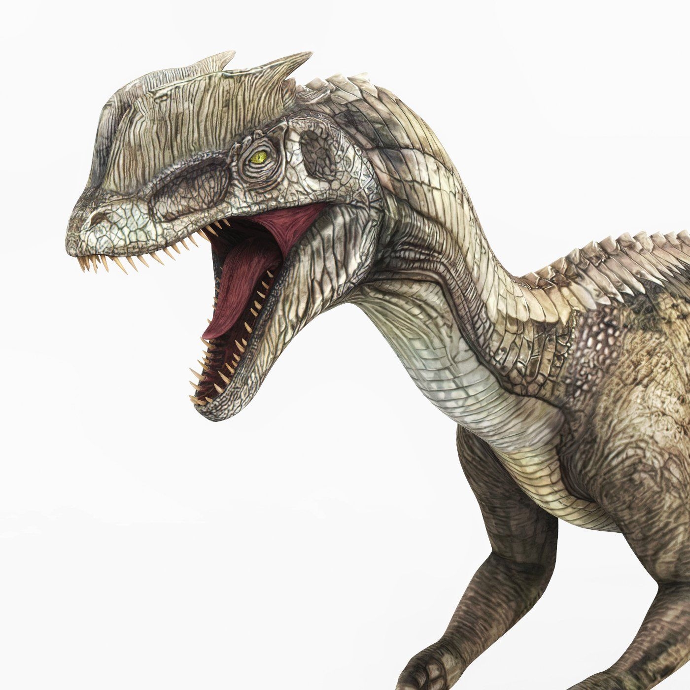 1400x1400 Dilophosaurus Dinosaur 3D Modelrenderhub.com · In stock, Phone