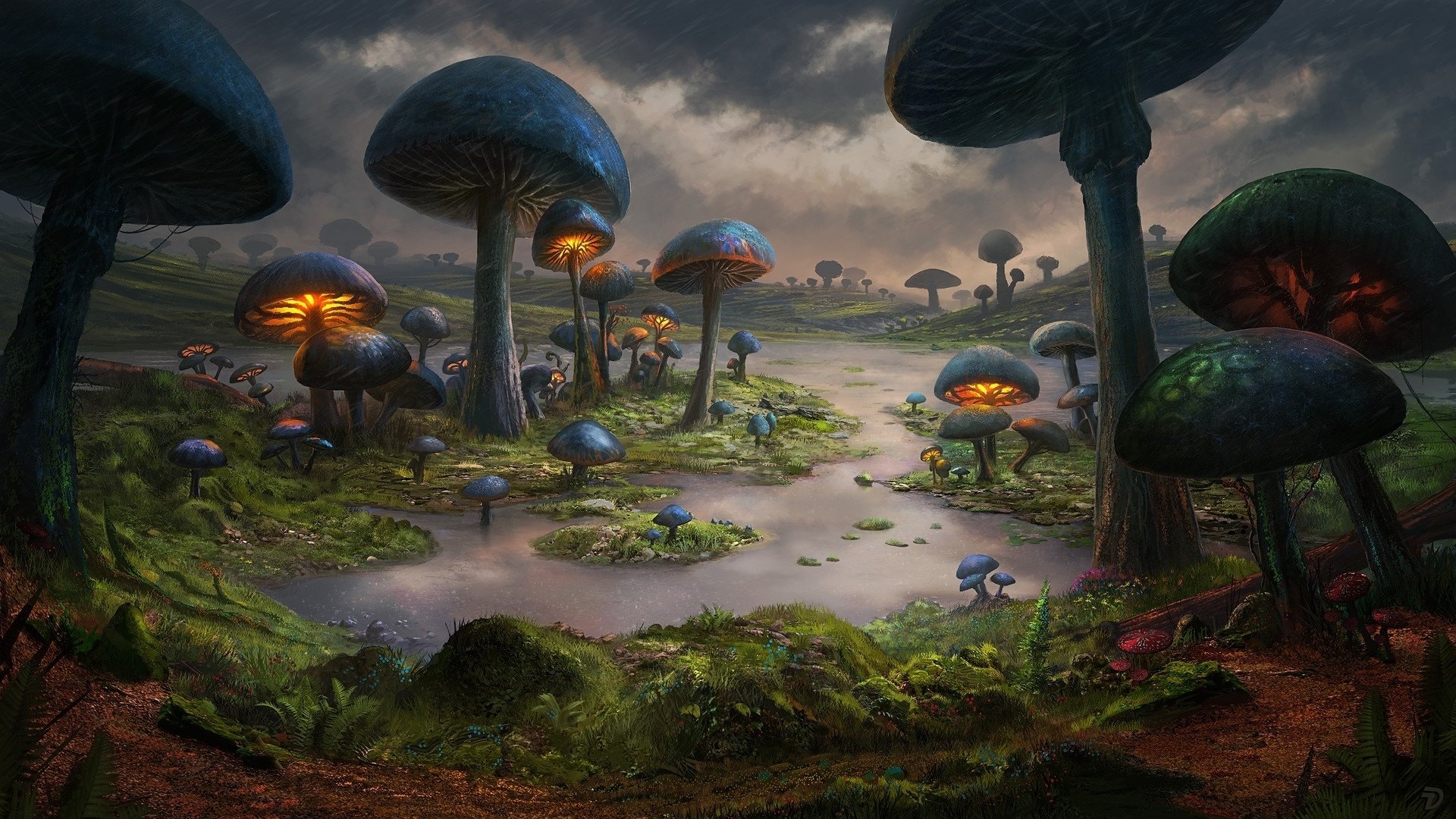 1920x1080 Mushroom Forest HD Wallpaper, Desktop