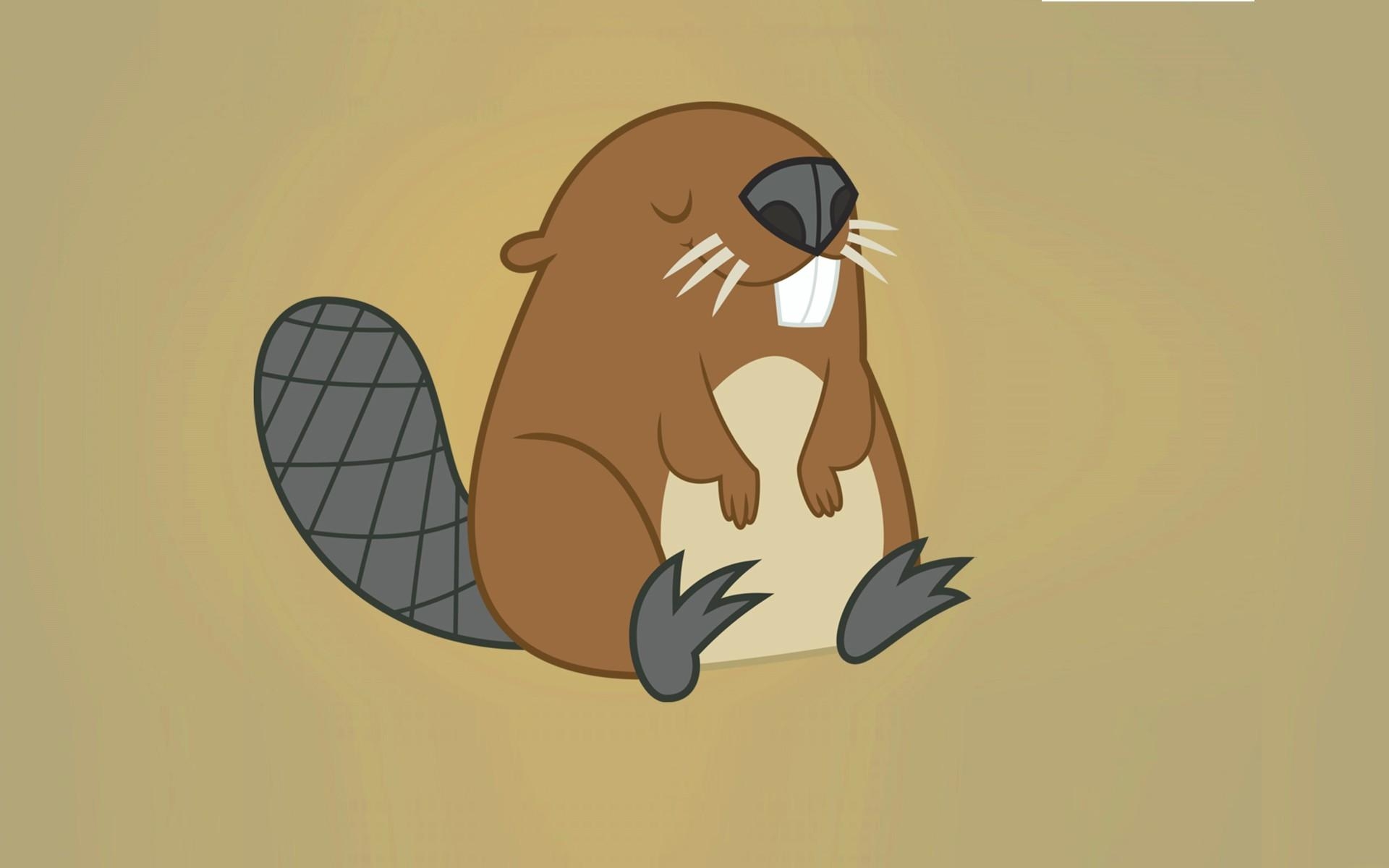 1920x1200 Beaver Background HD Wallpaper 28977, Desktop