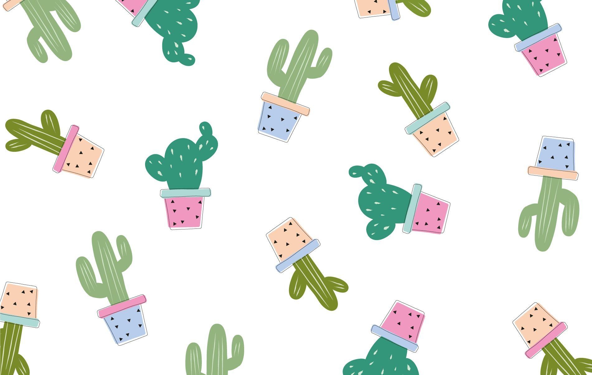 1910x1210 Cactus desktop wallpaper, Desktop