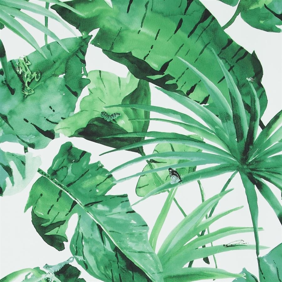 900x900 Tropical Natural Green And White Leaves Wallpaper, Phone