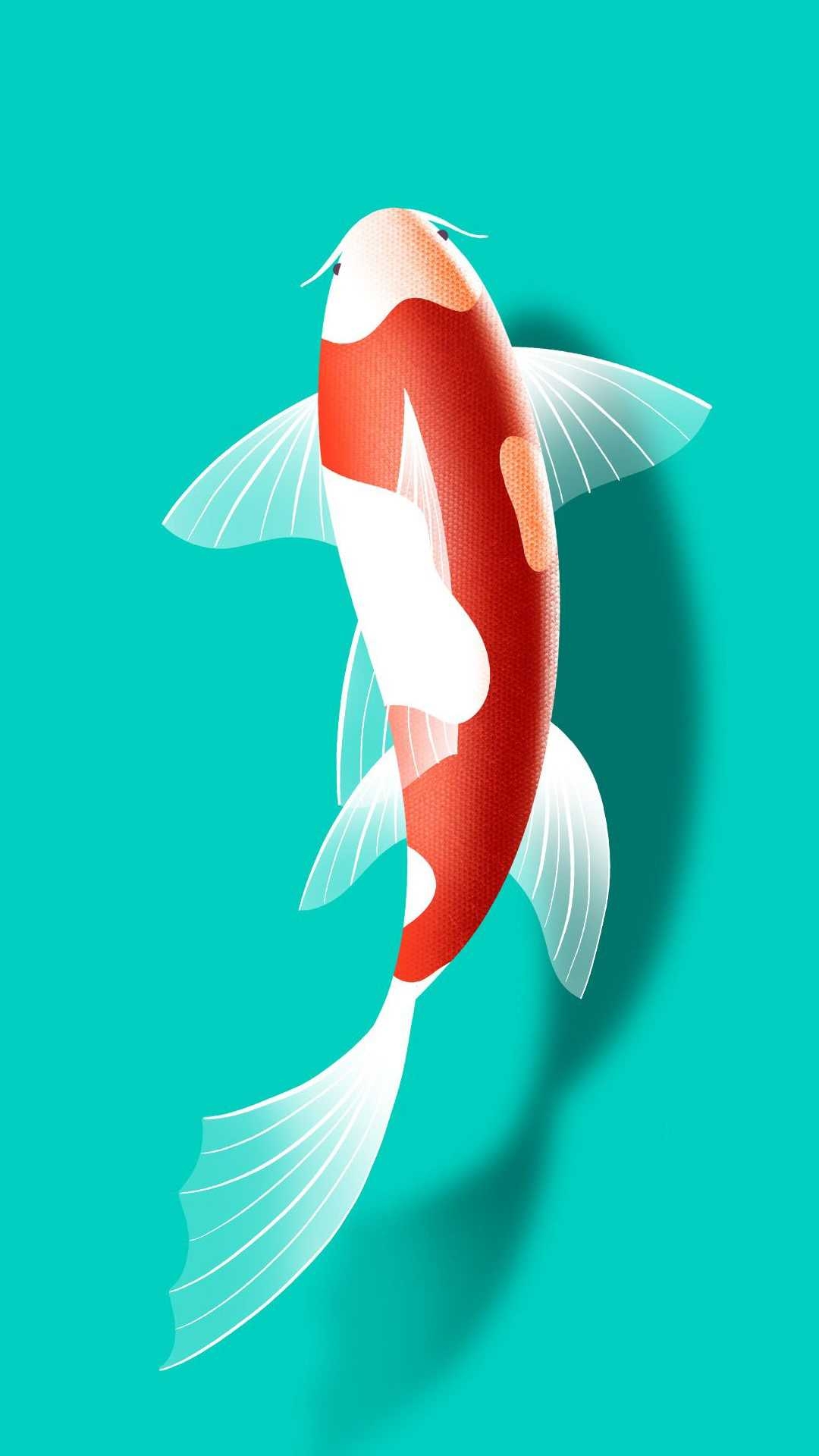 1080x1920 Koi Wallpaper Free HD Wallpaper, Phone