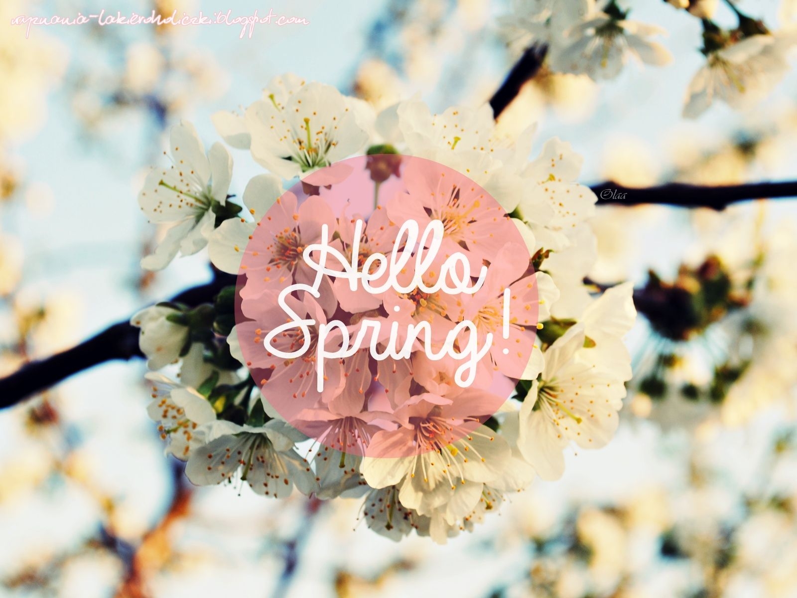 1600x1200 Hello Spring Wallpaper, Desktop