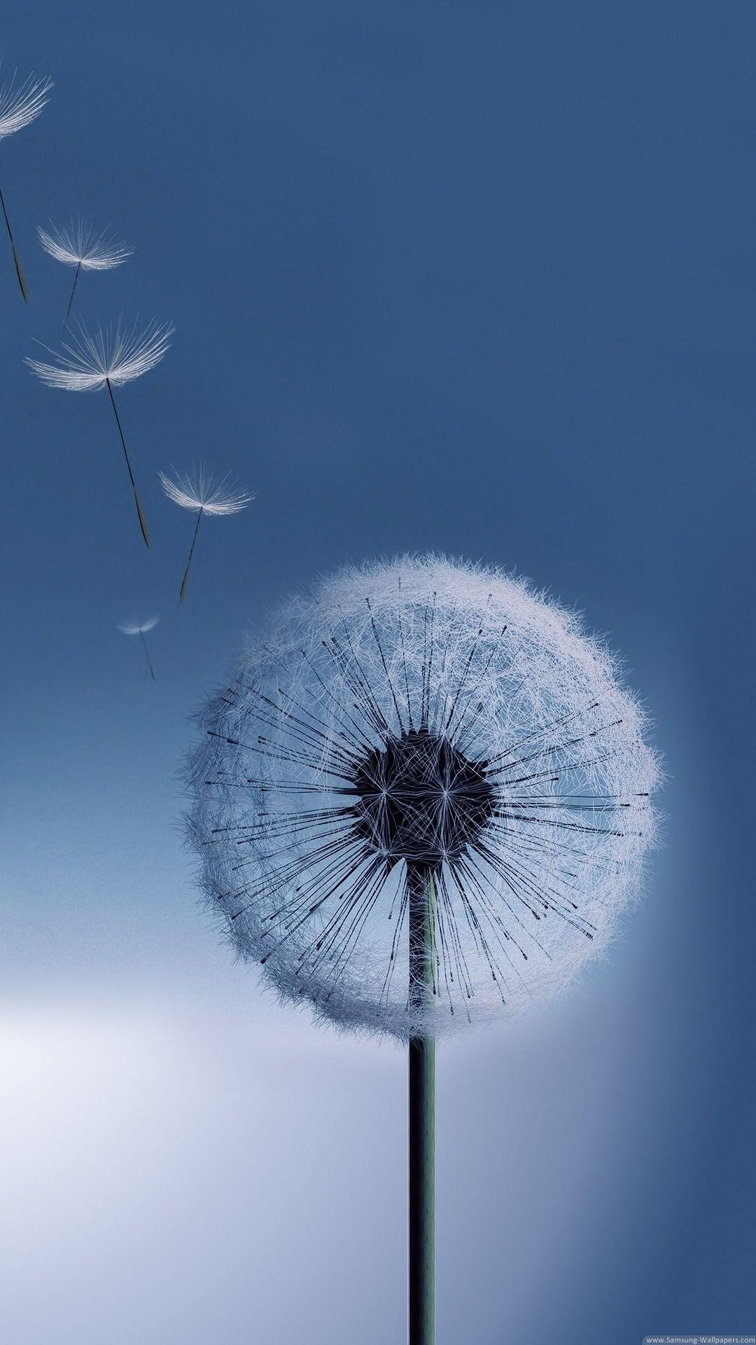 1080x1920 Galaxy S4 HD Dandelion Desk×1920 Samsung, Phone