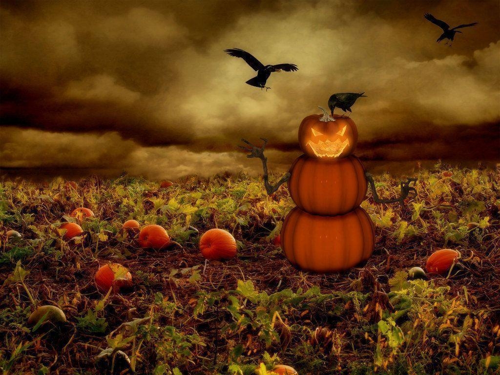 1030x770 Scary Pumpkin Wallpaper iPhone Wallpaper. awshdwallpaper, Desktop